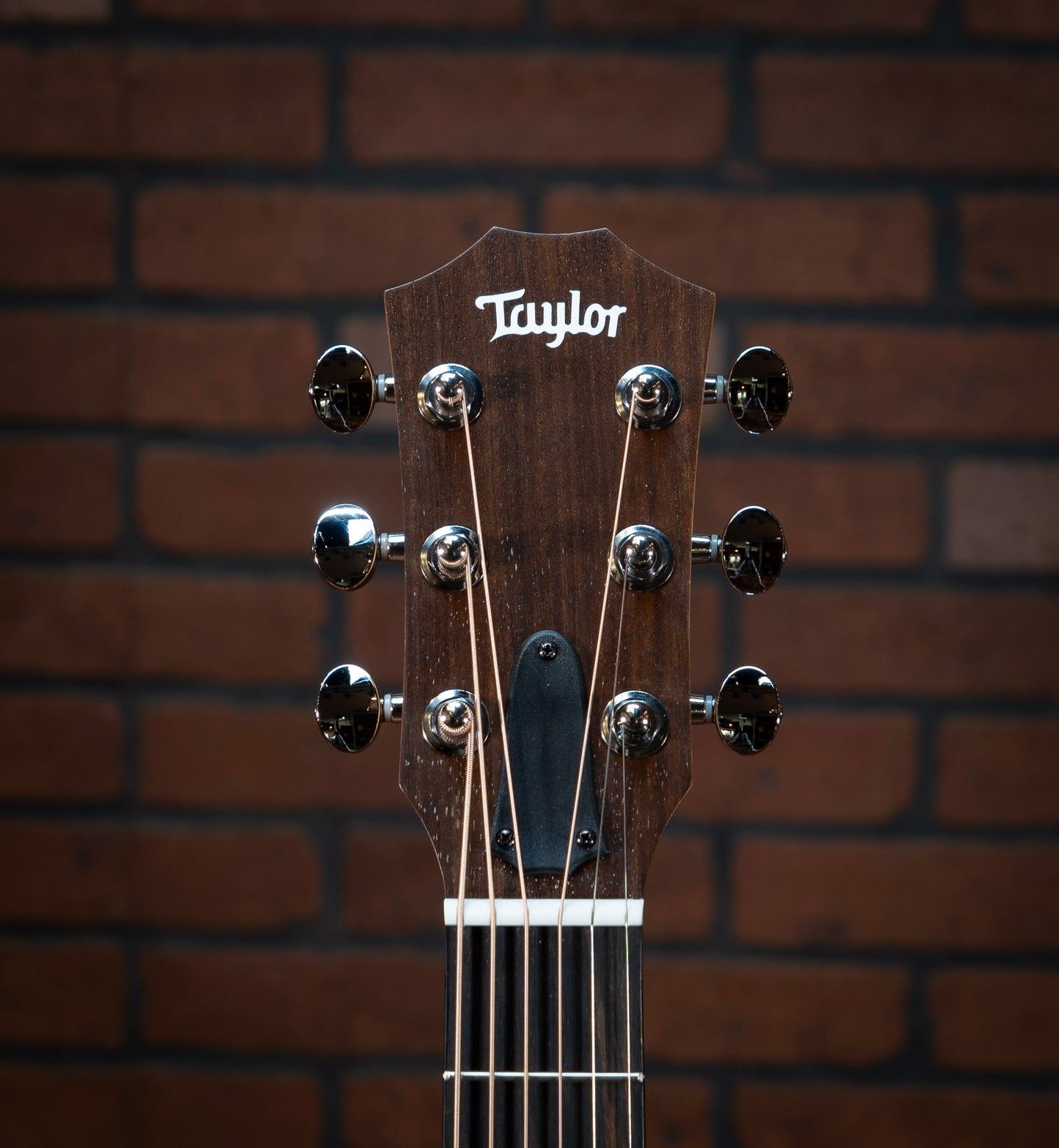 Taylor GS Mini Sapele