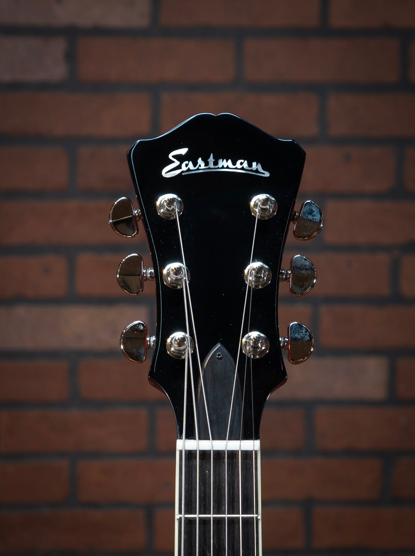 Eastman AR503ce