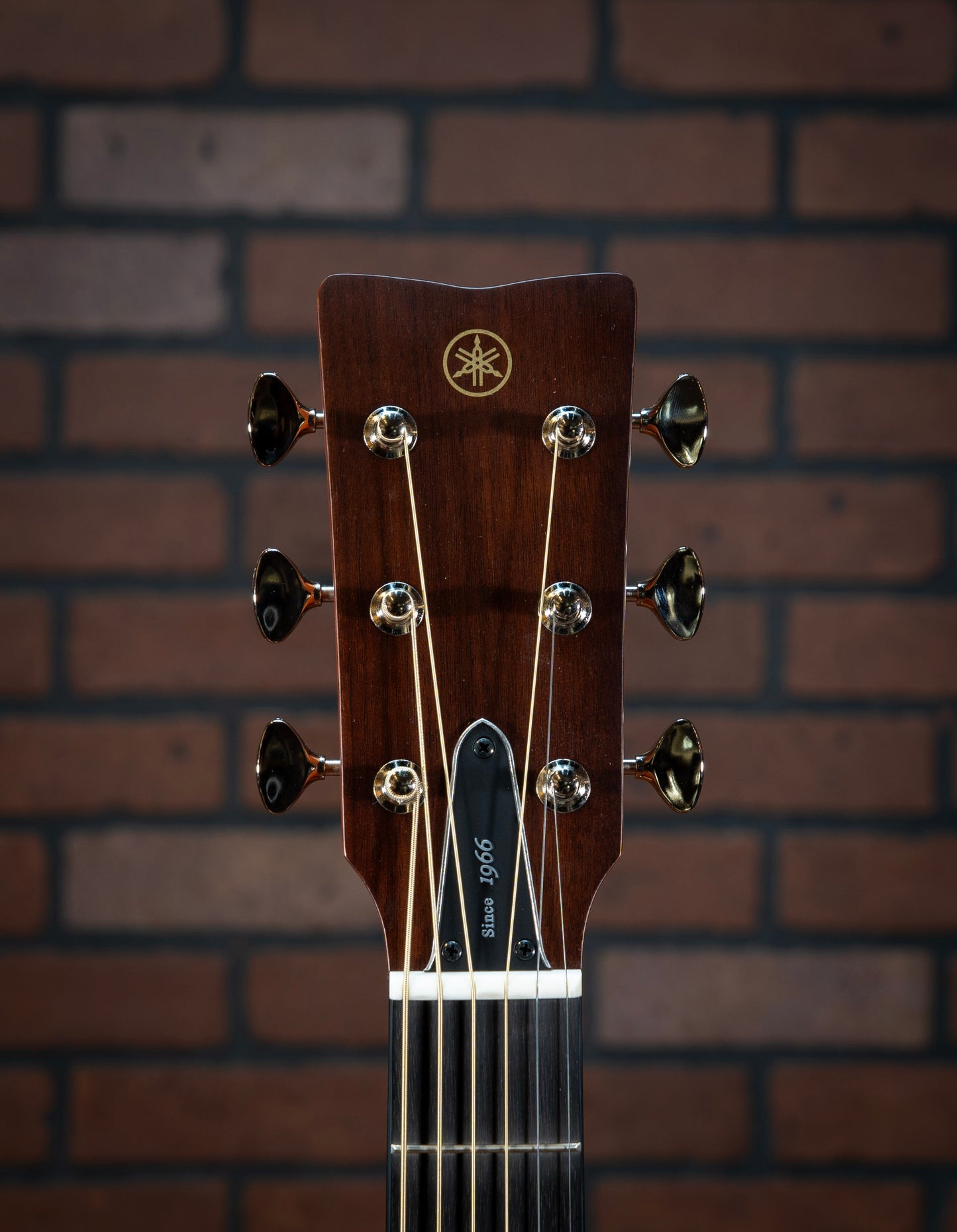 Yamaha FGX5