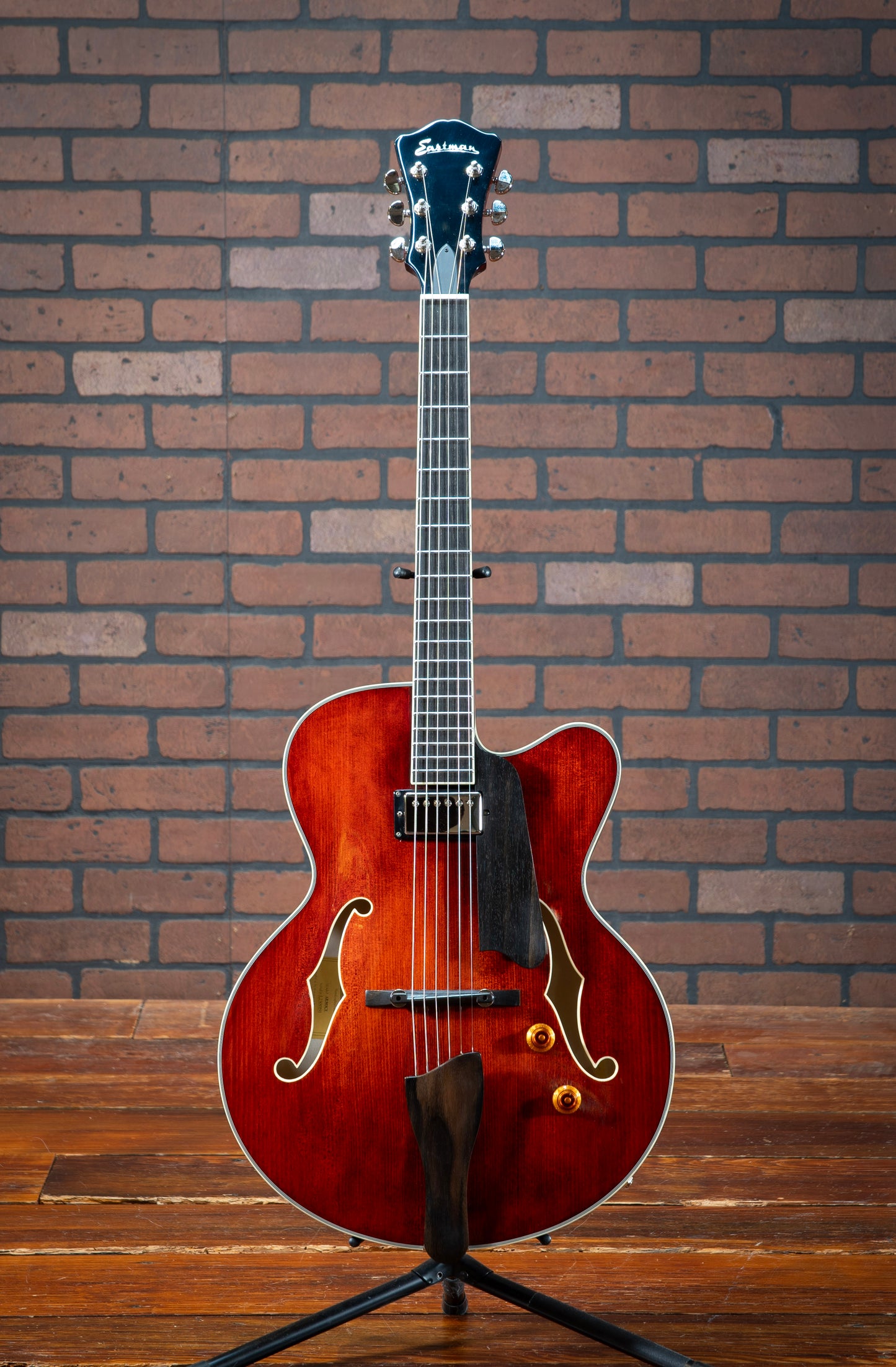 Eastman AR503ce