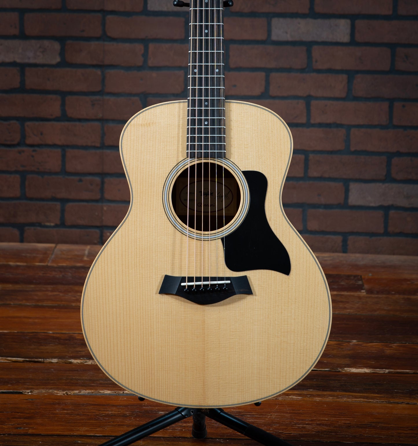 Taylor GS Mini Sapele