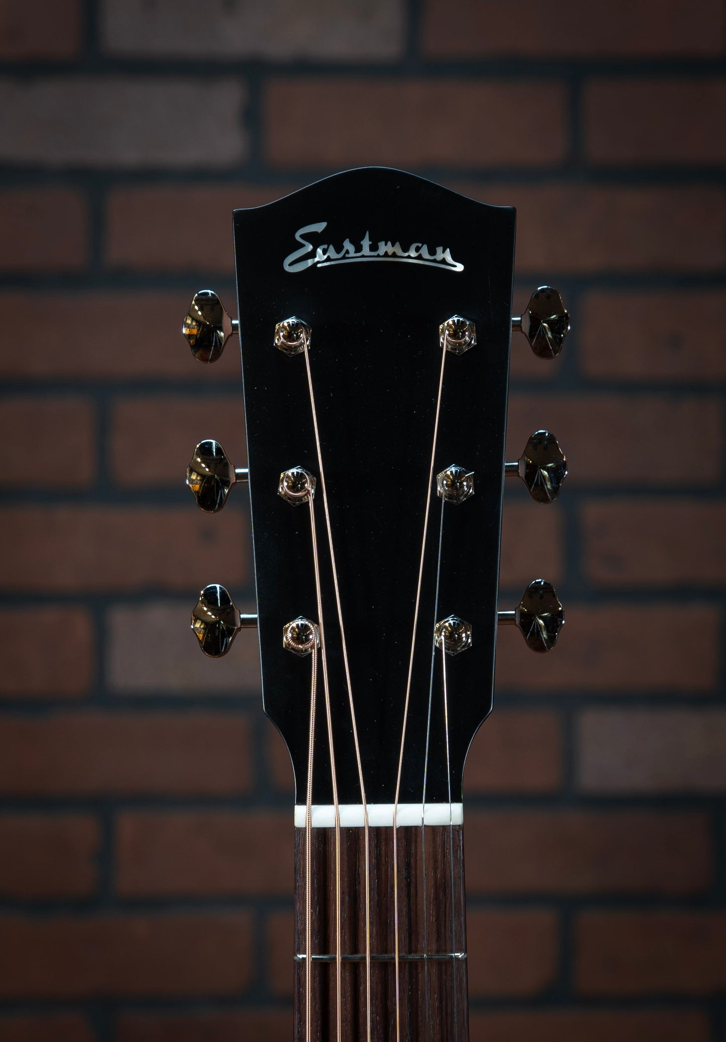 Eastman E6-LGSS-TC-SB