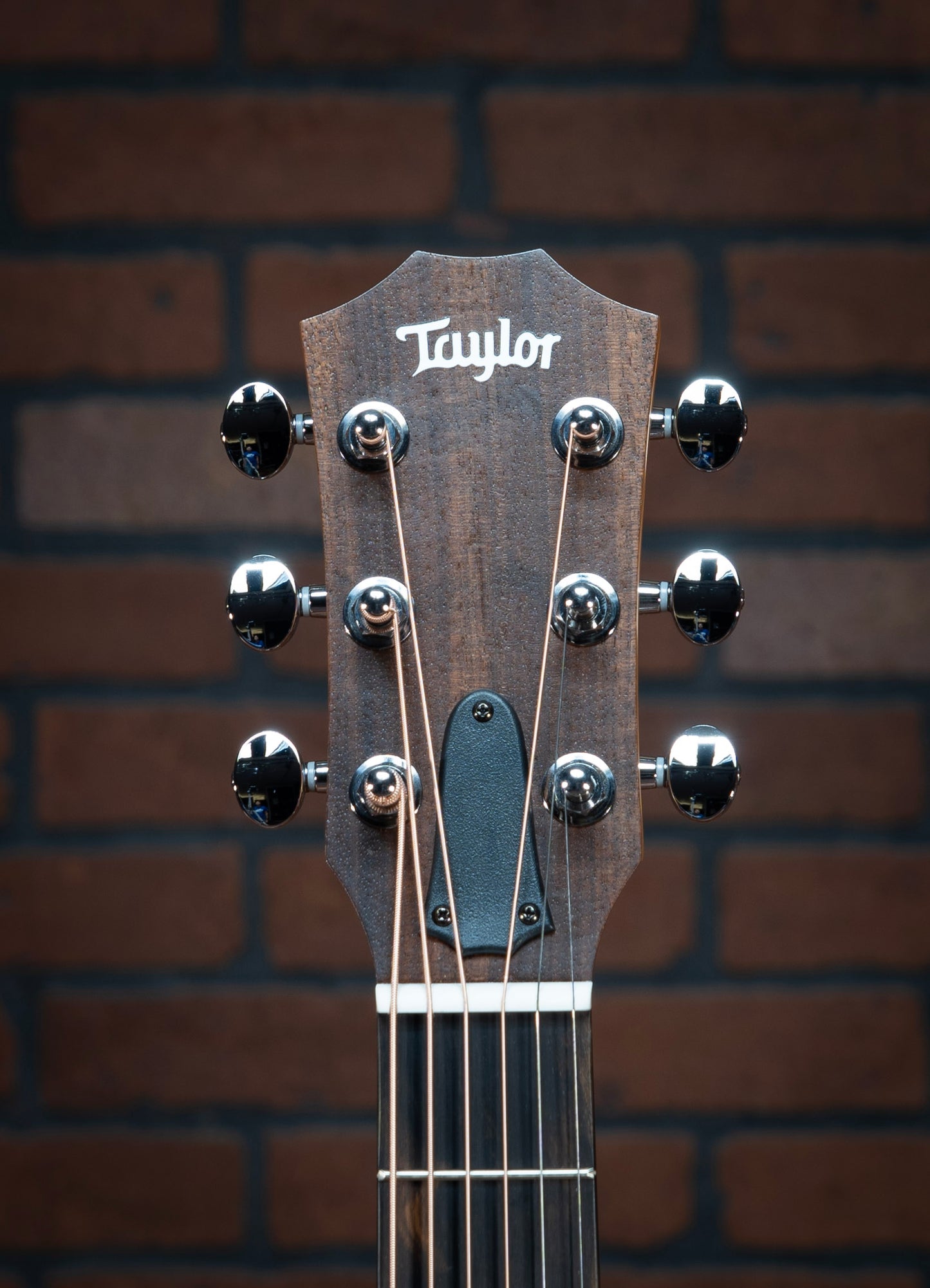 Taylor GS Mini-e Special Edition - Trans Black