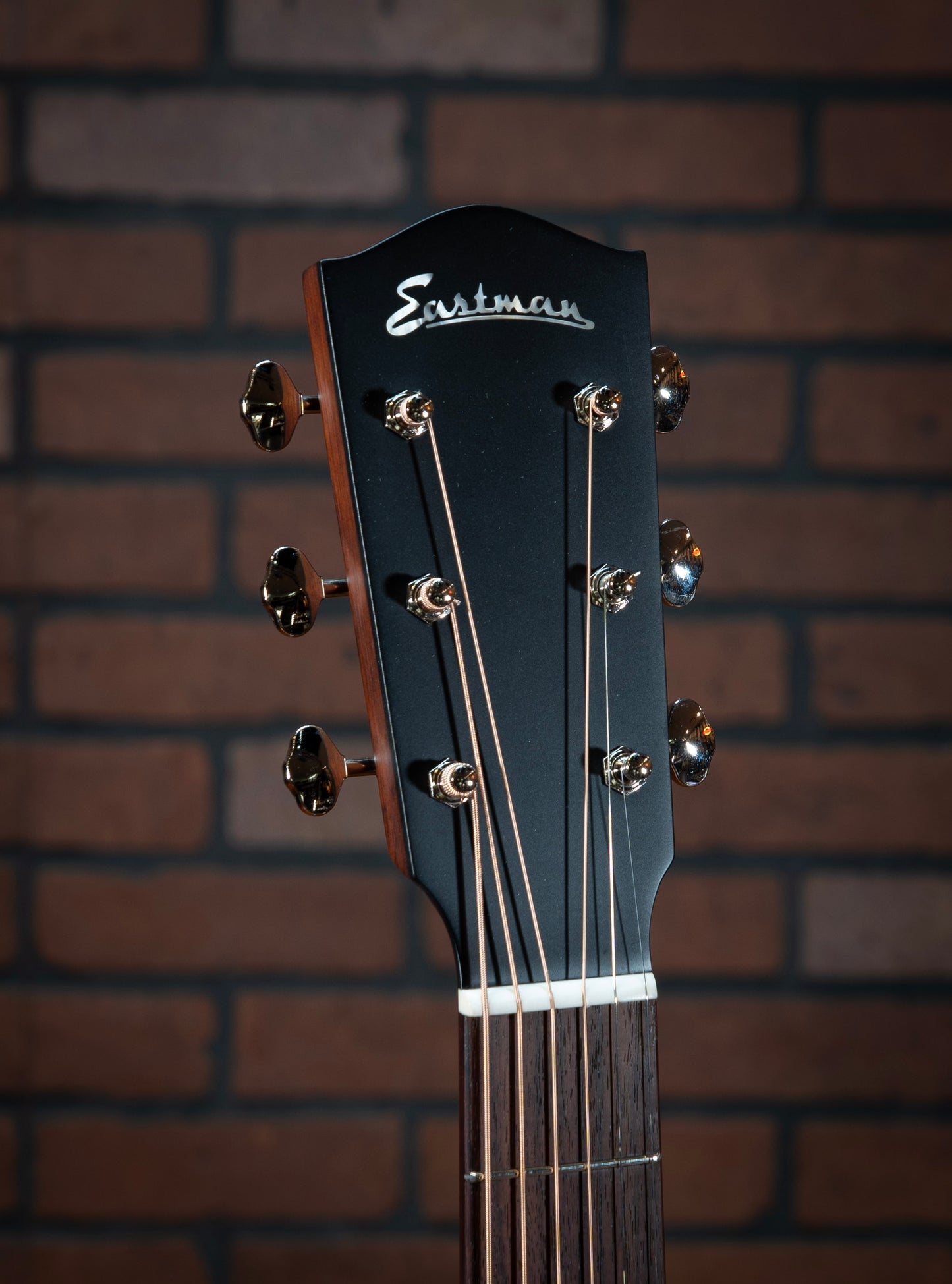 Eastman E6-LGSS-TC-SB