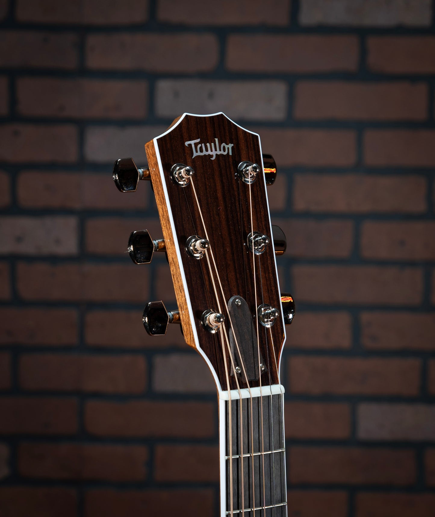 Taylor Legacy 810e acoustic electric guitar Indian rosewood headstock with modern Taylor neck profile, and mother-of-pearl inlay.