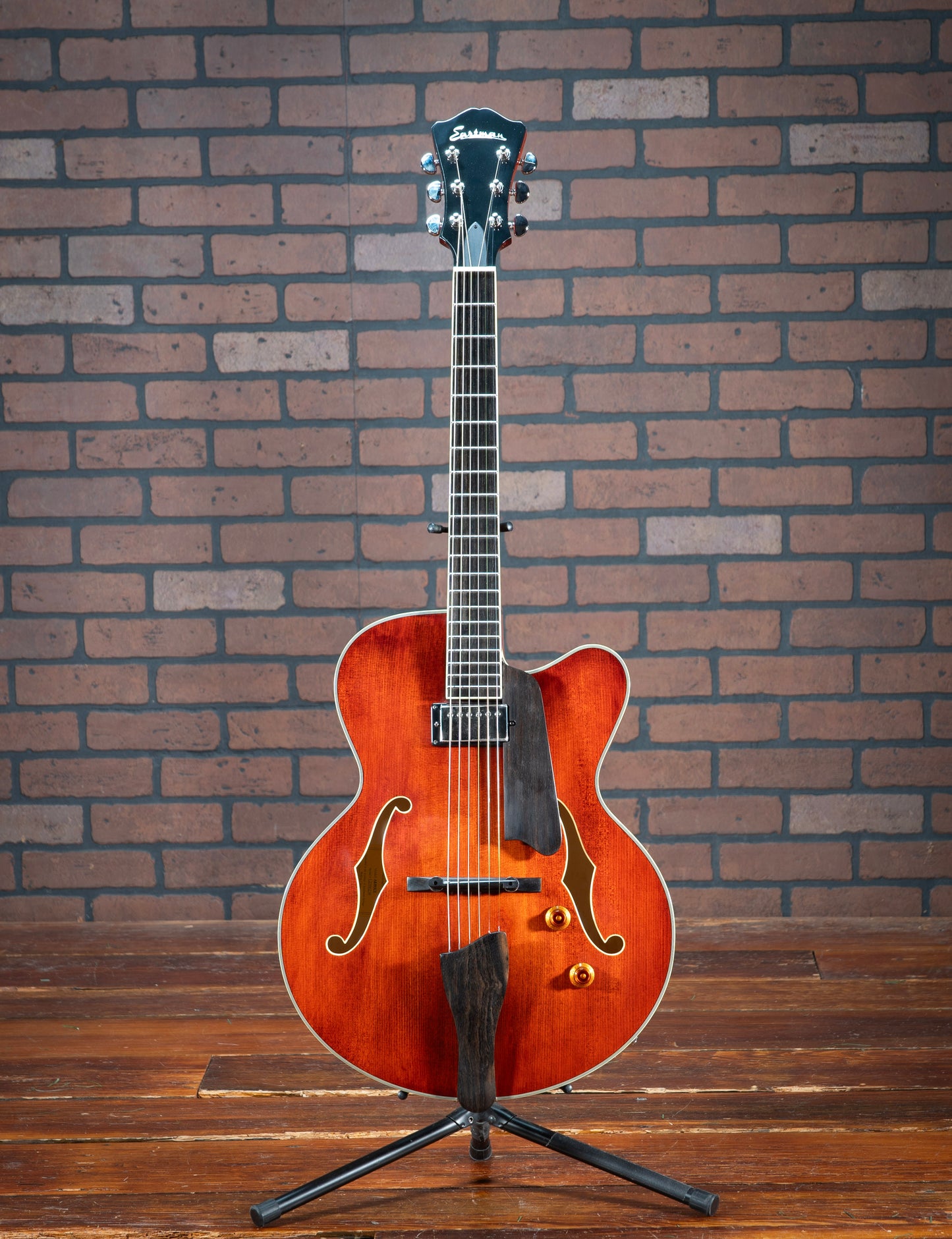 Eastman AR503CE (2022)