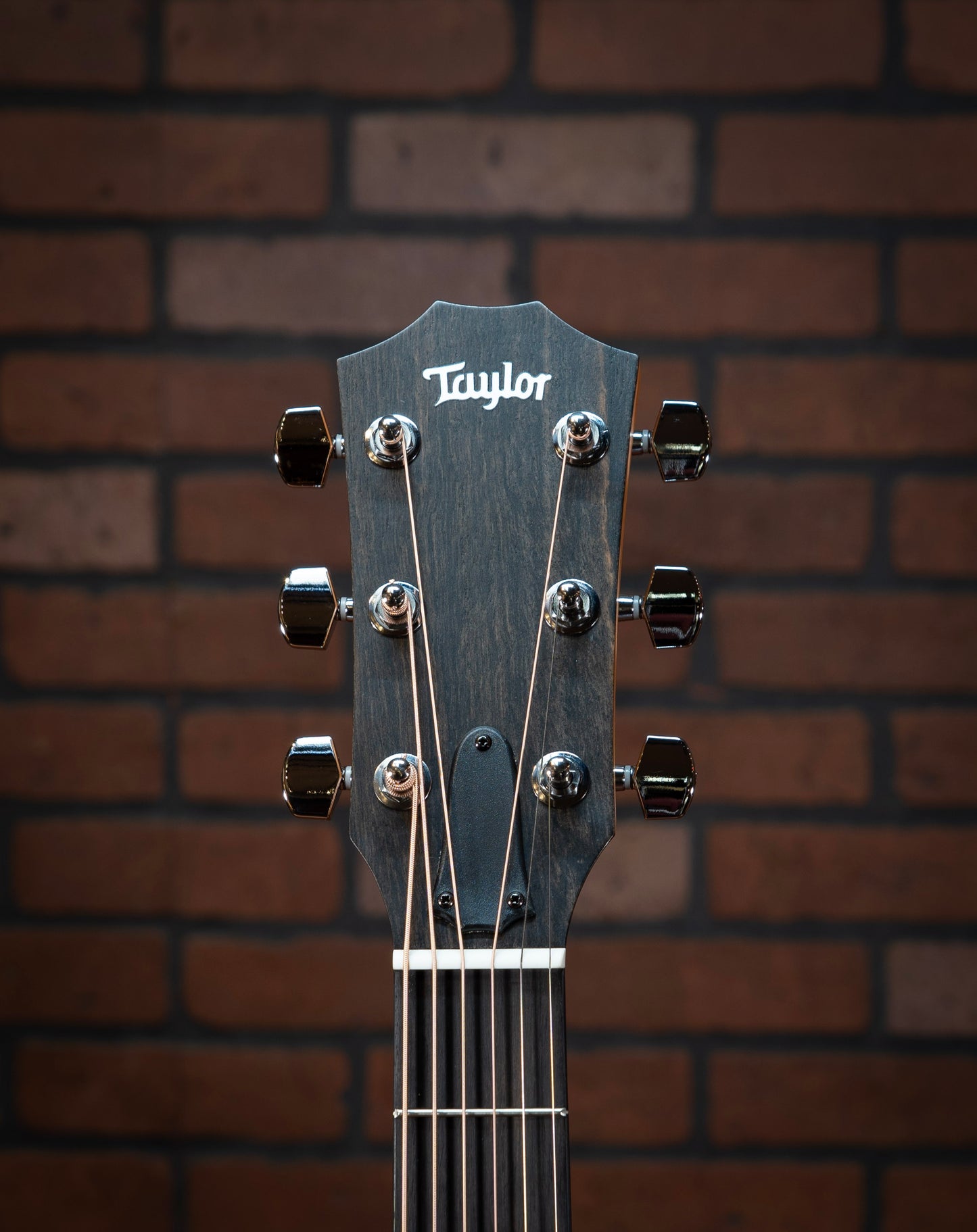 Taylor 210ce