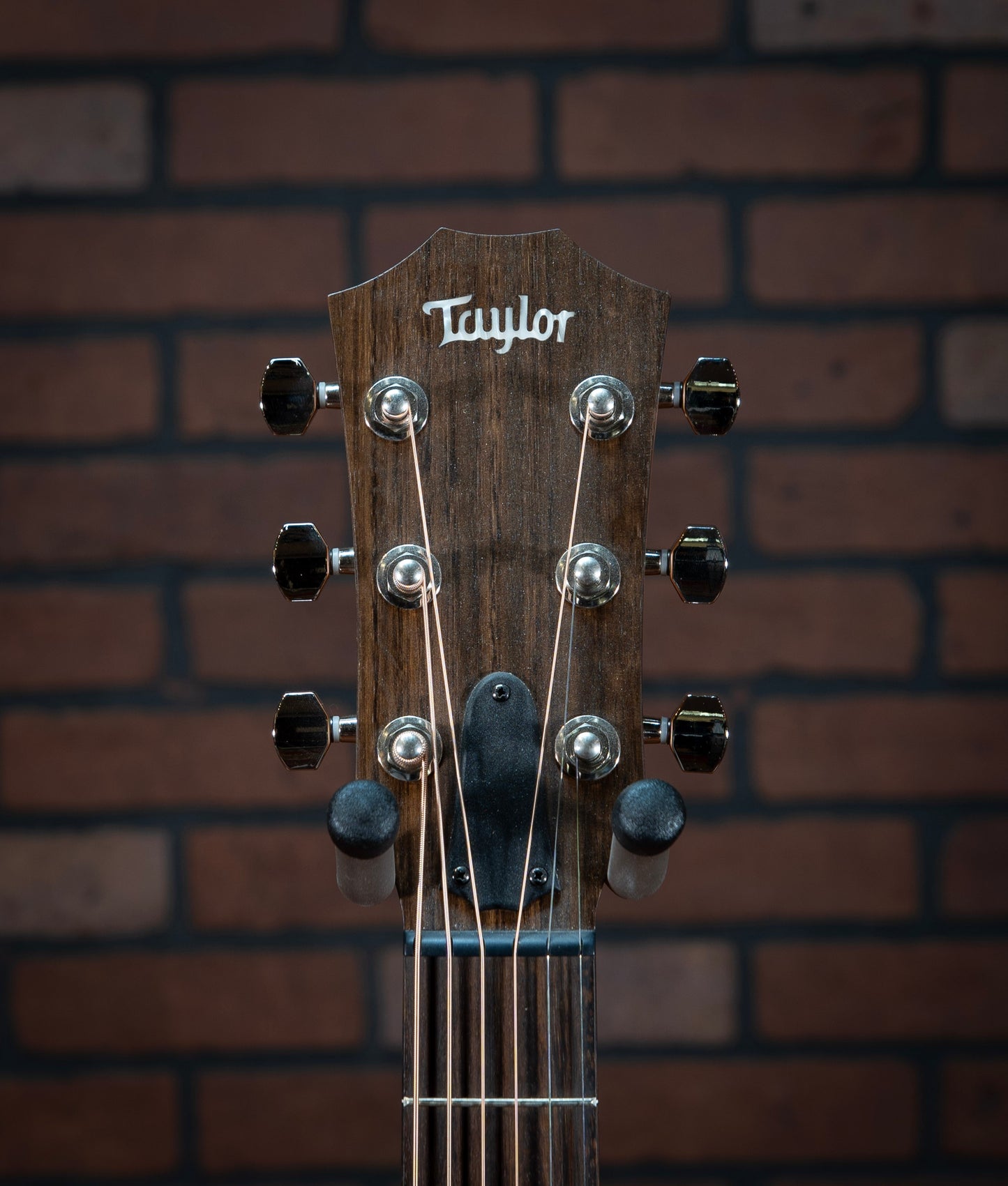 Taylor GT Urban Ash