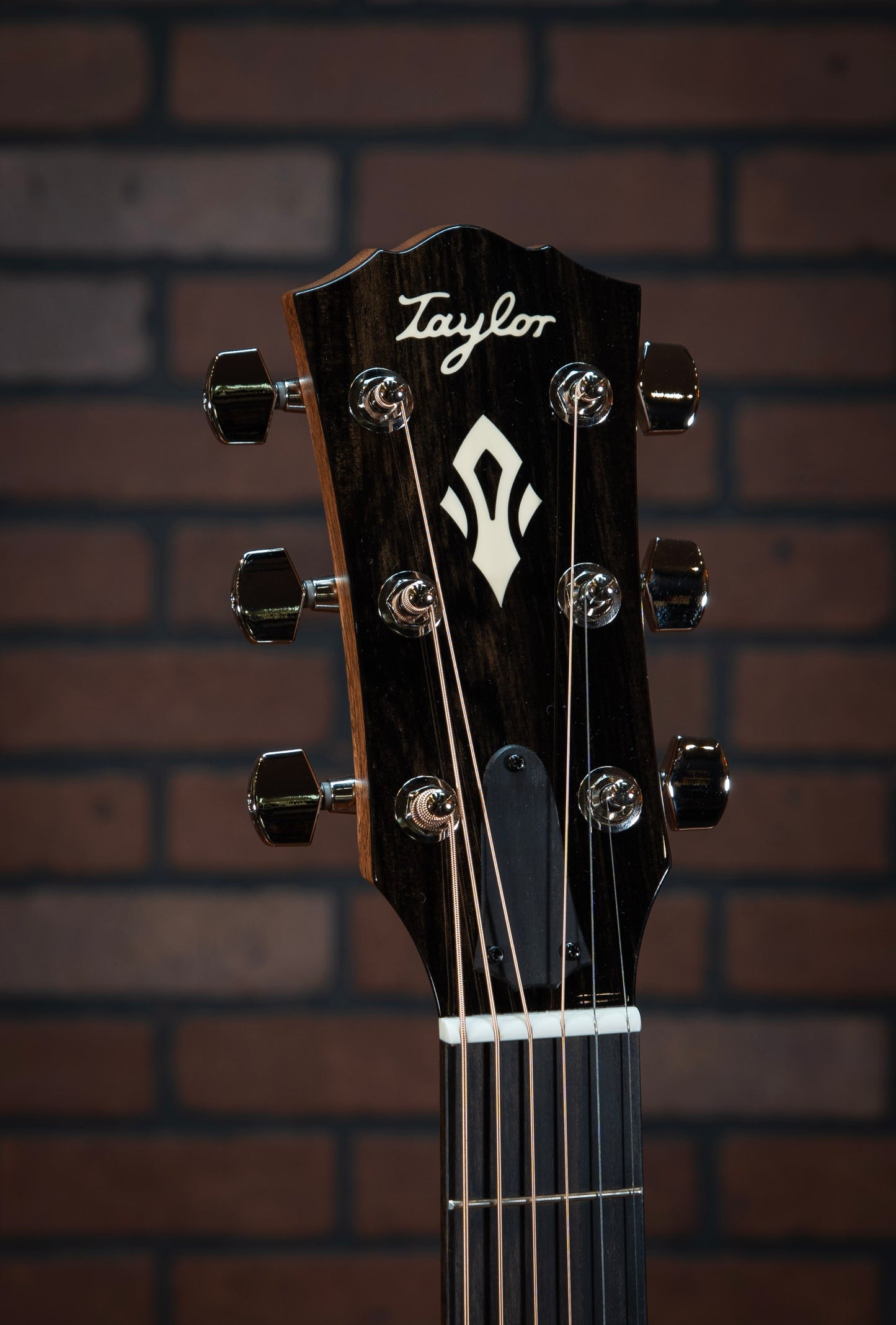 Taylor Gold Label 717e SB