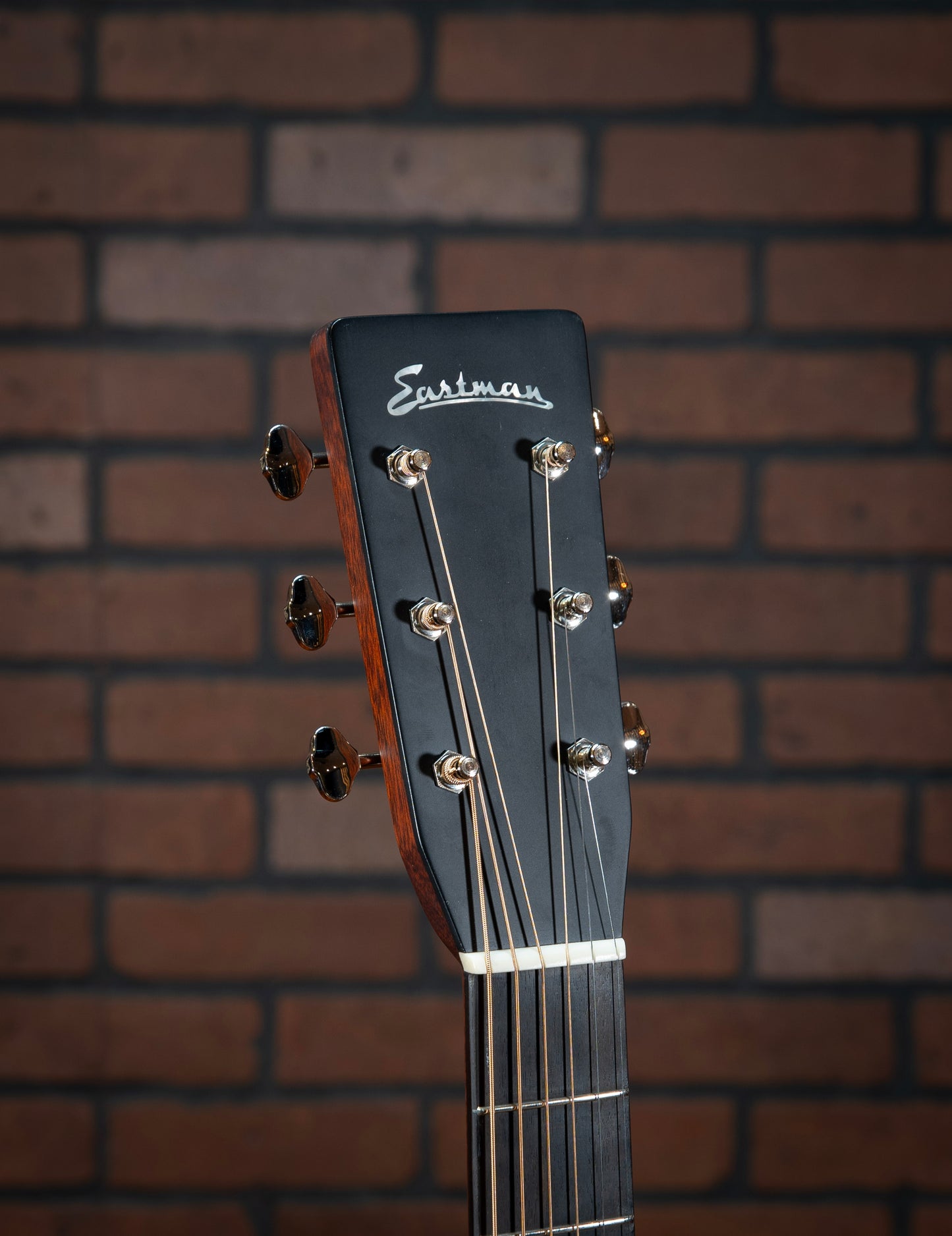 Eastman E10OM-TC