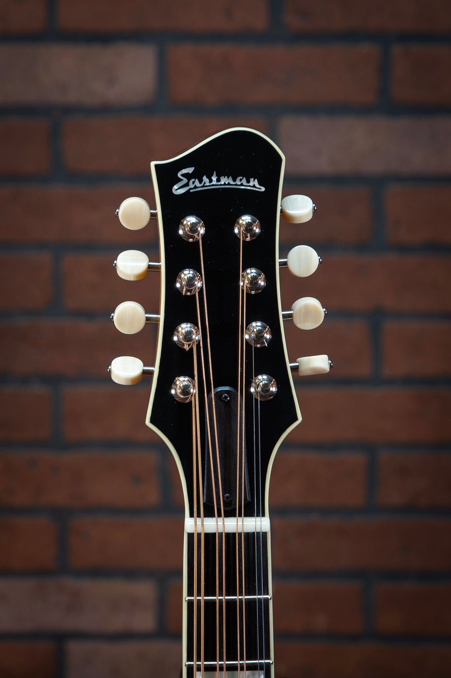 Eastman MDO605-GB