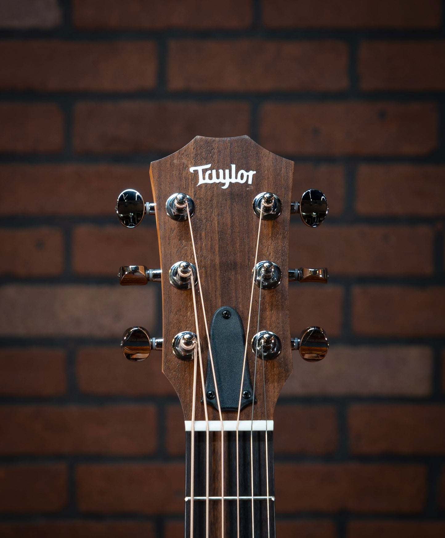 Taylor GS Mini Sapele