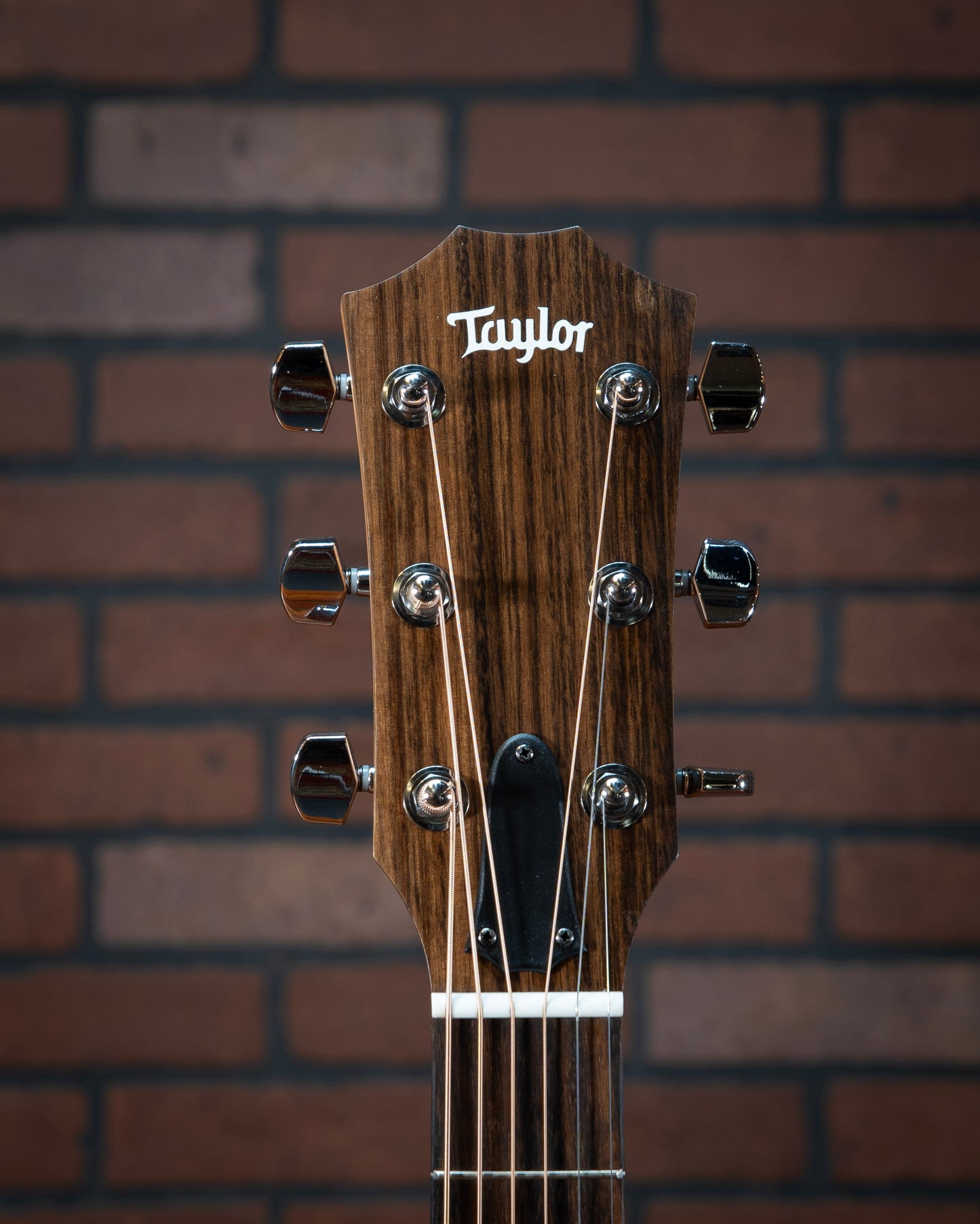Taylor 117e