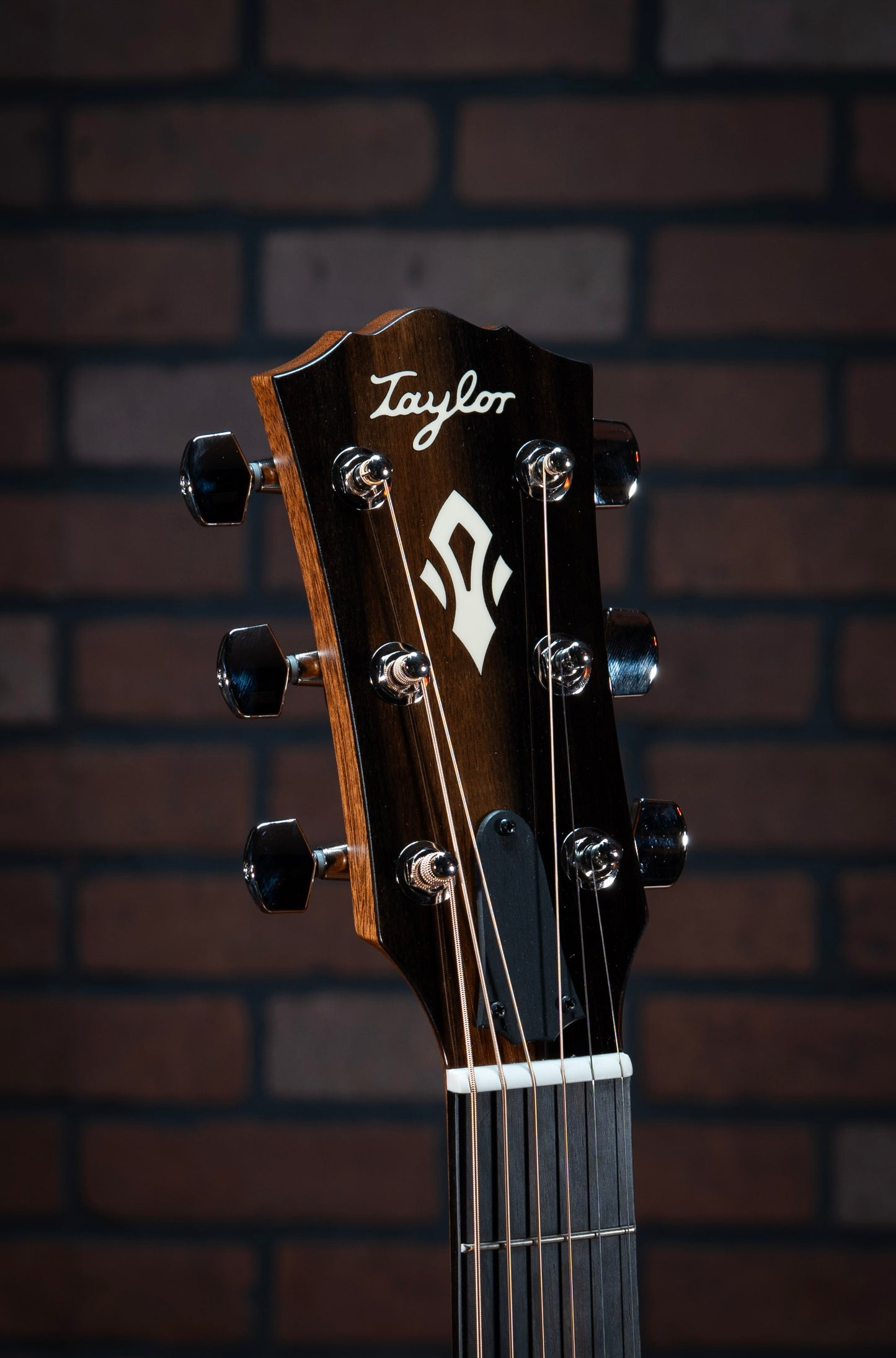 Taylor Gold Label 517e