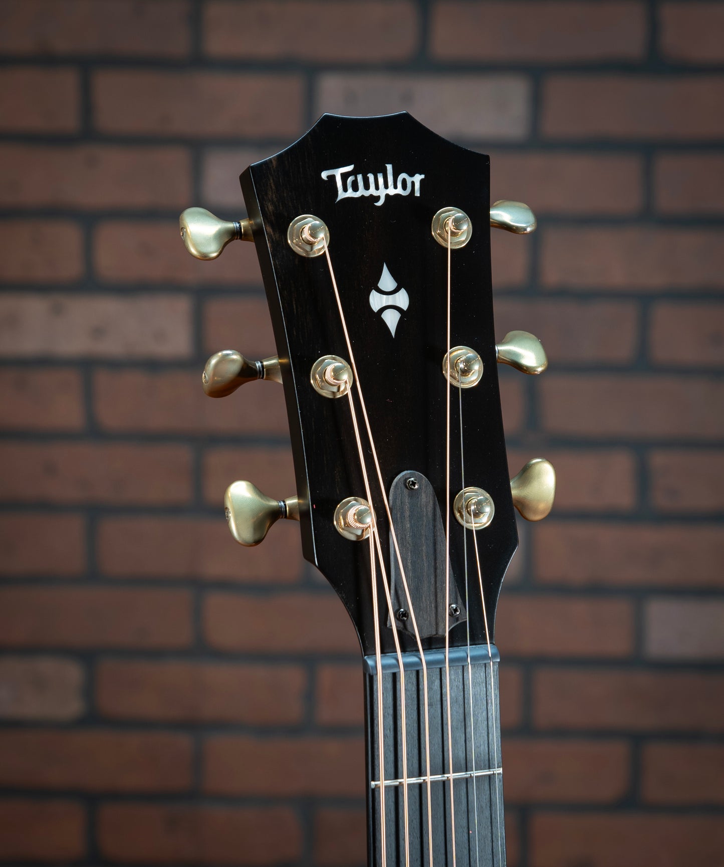Taylor 50th Anniversary Builders Edition 314ce LTD-SB