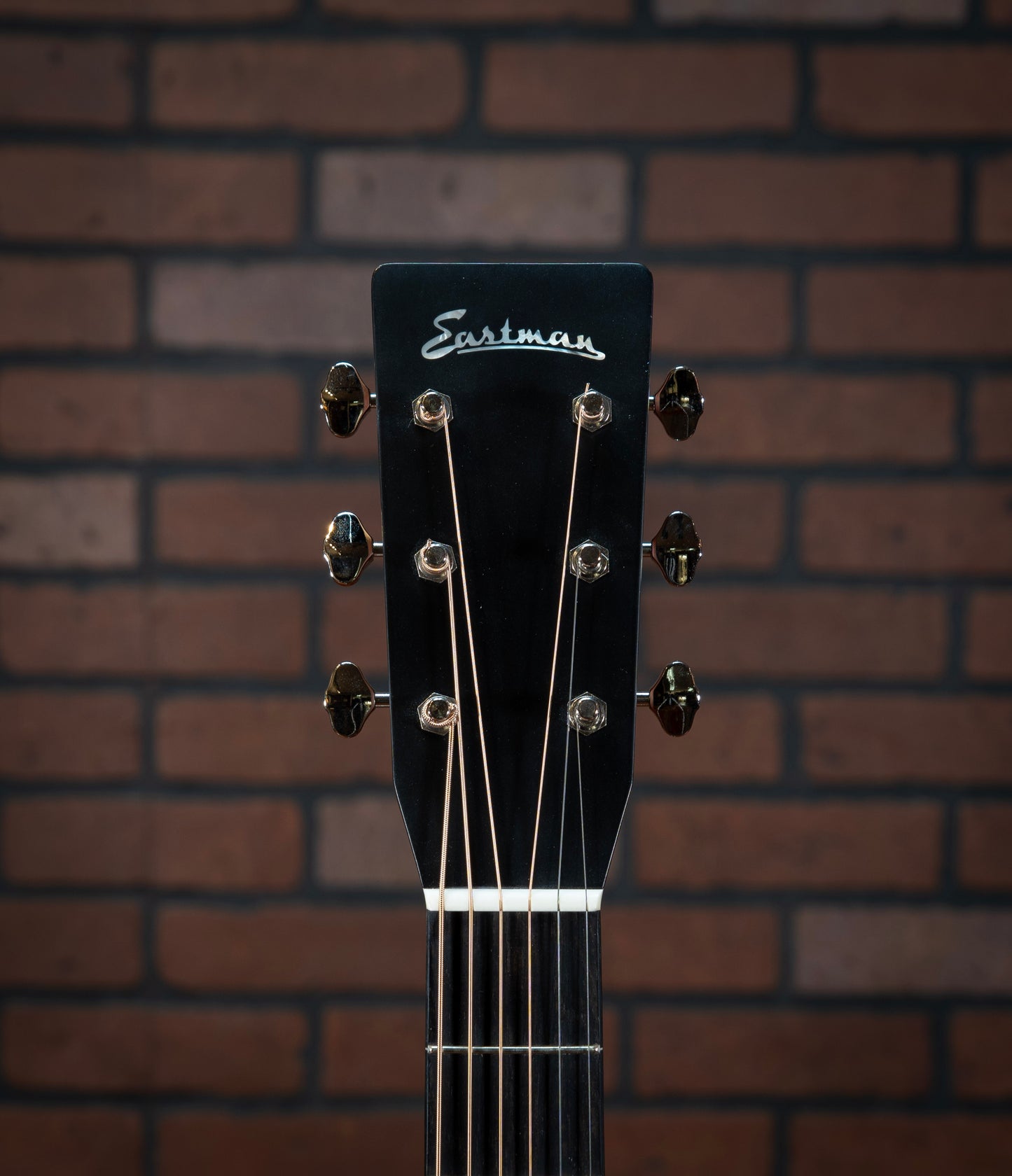 Eastman E10D-TC (2023)
