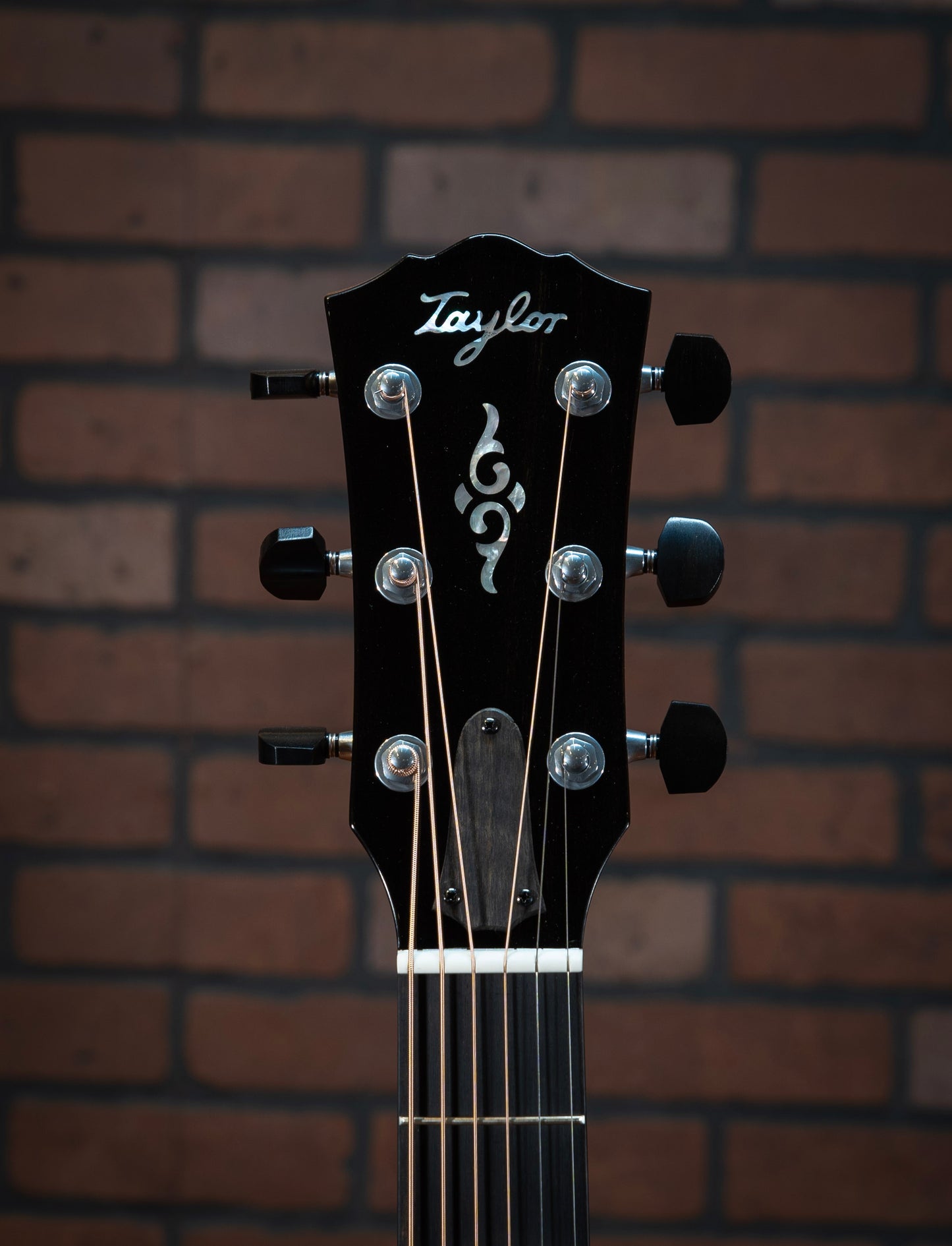 Taylor Gold Label 814e