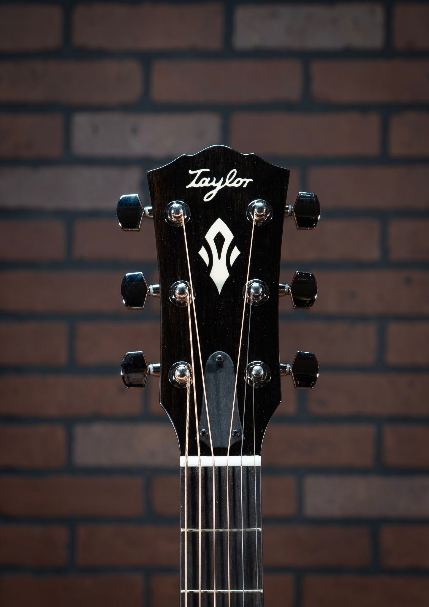 Taylor Gold Label 717e SB