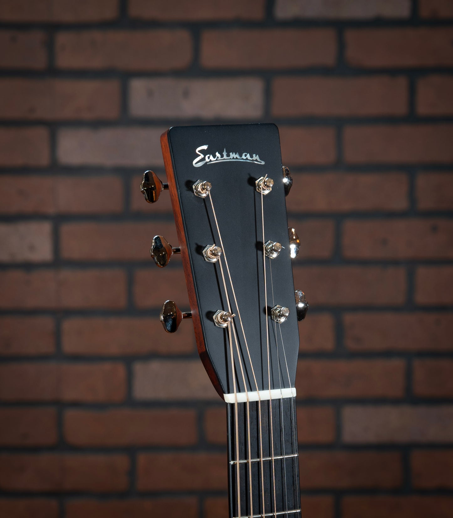 Eastman E10D-TC (2023)