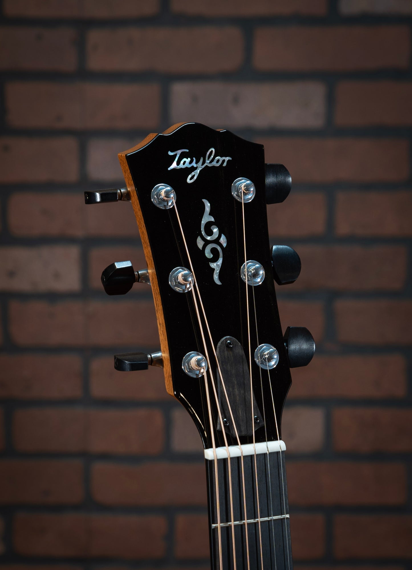 Taylor Gold Label 814e