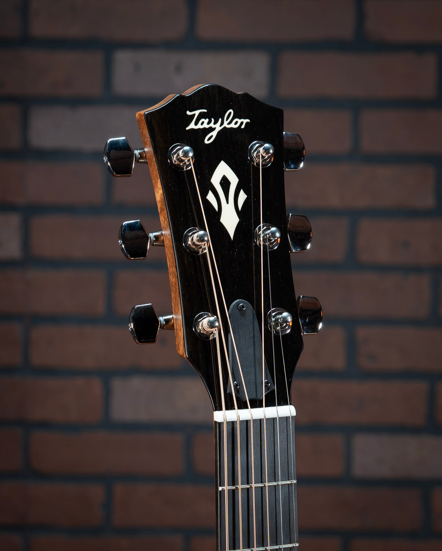 Taylor Gold Label 717e SB