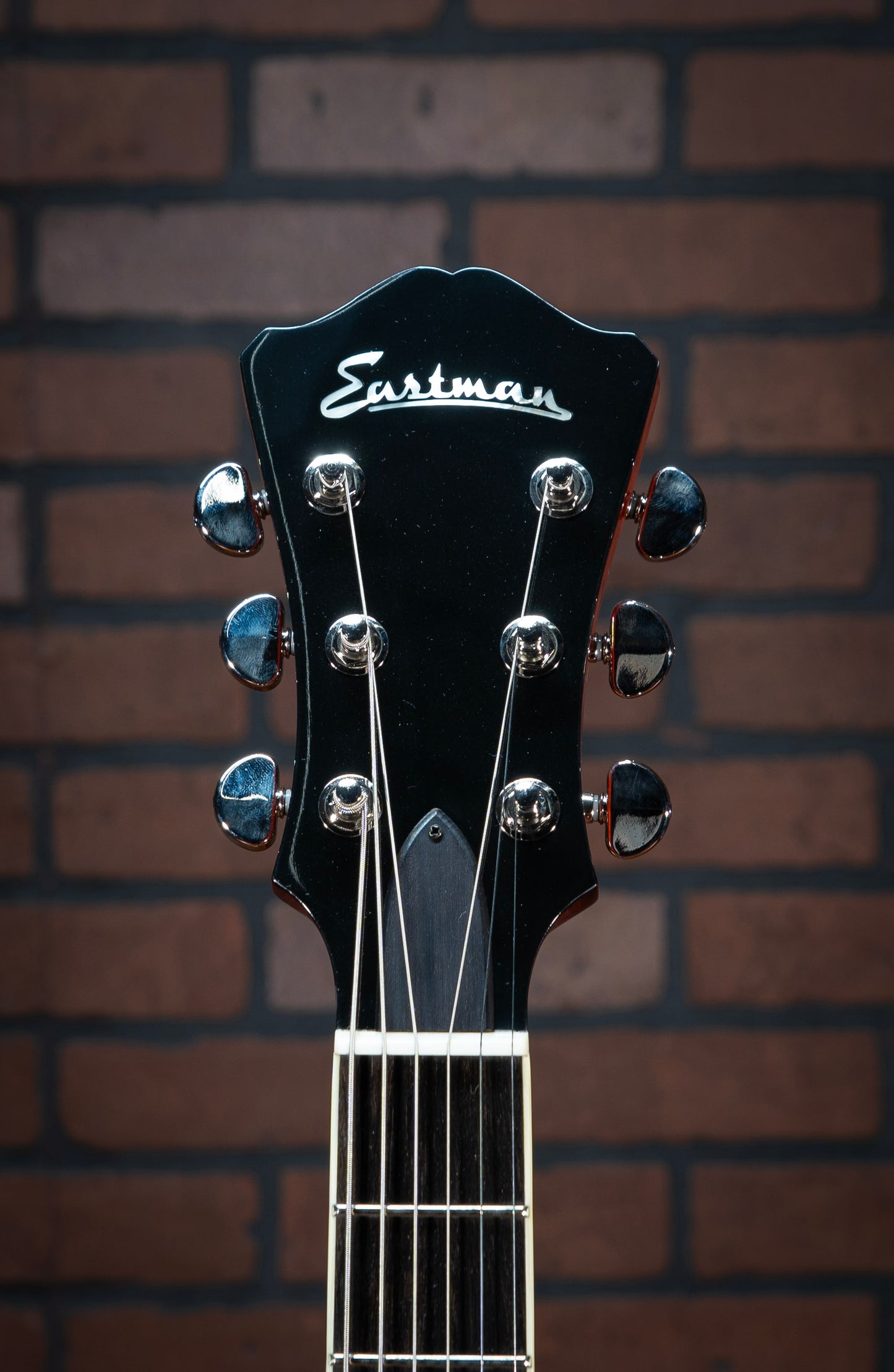 Eastman AR503CE (2022)
