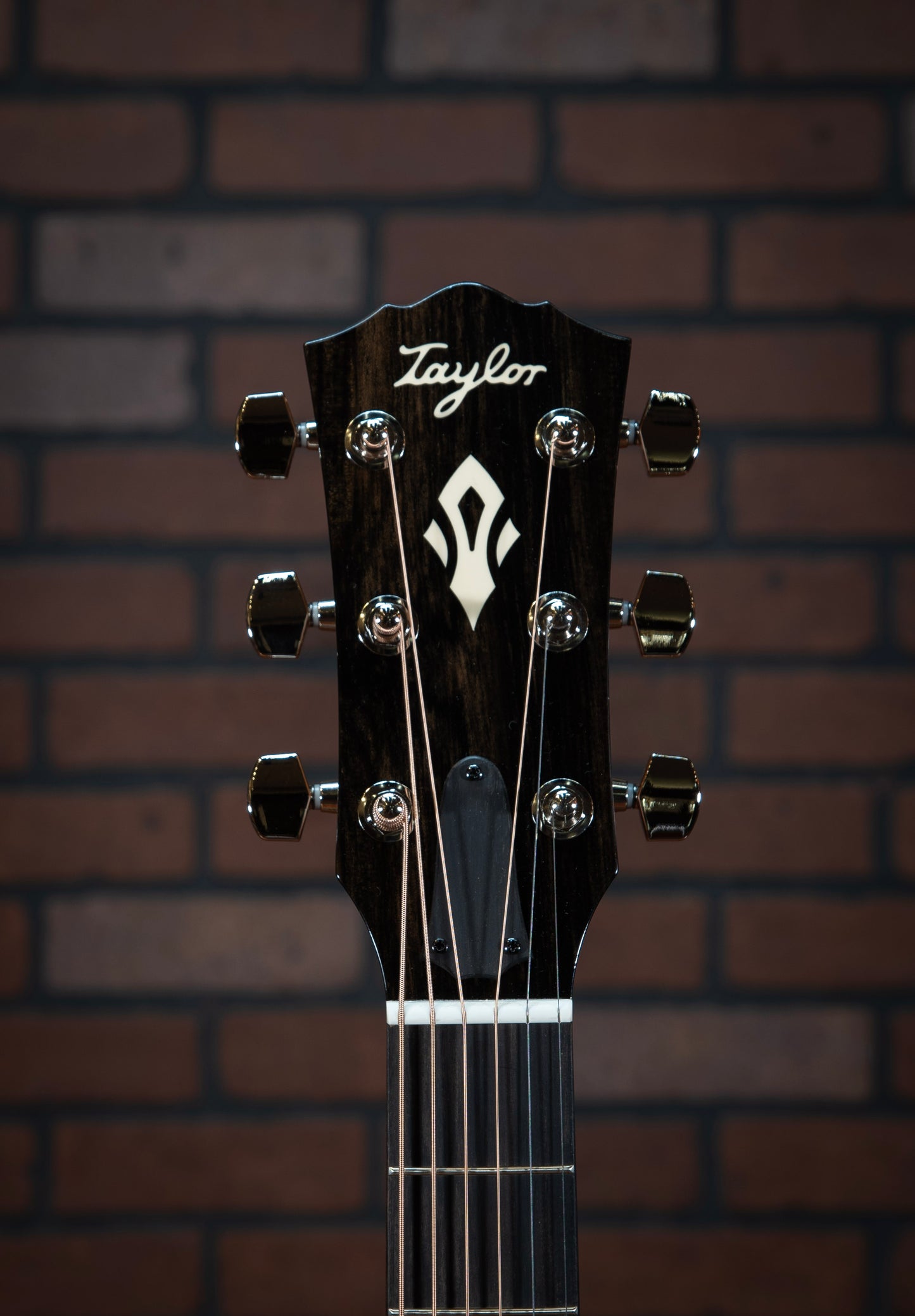 Taylor Gold Label 717e SB