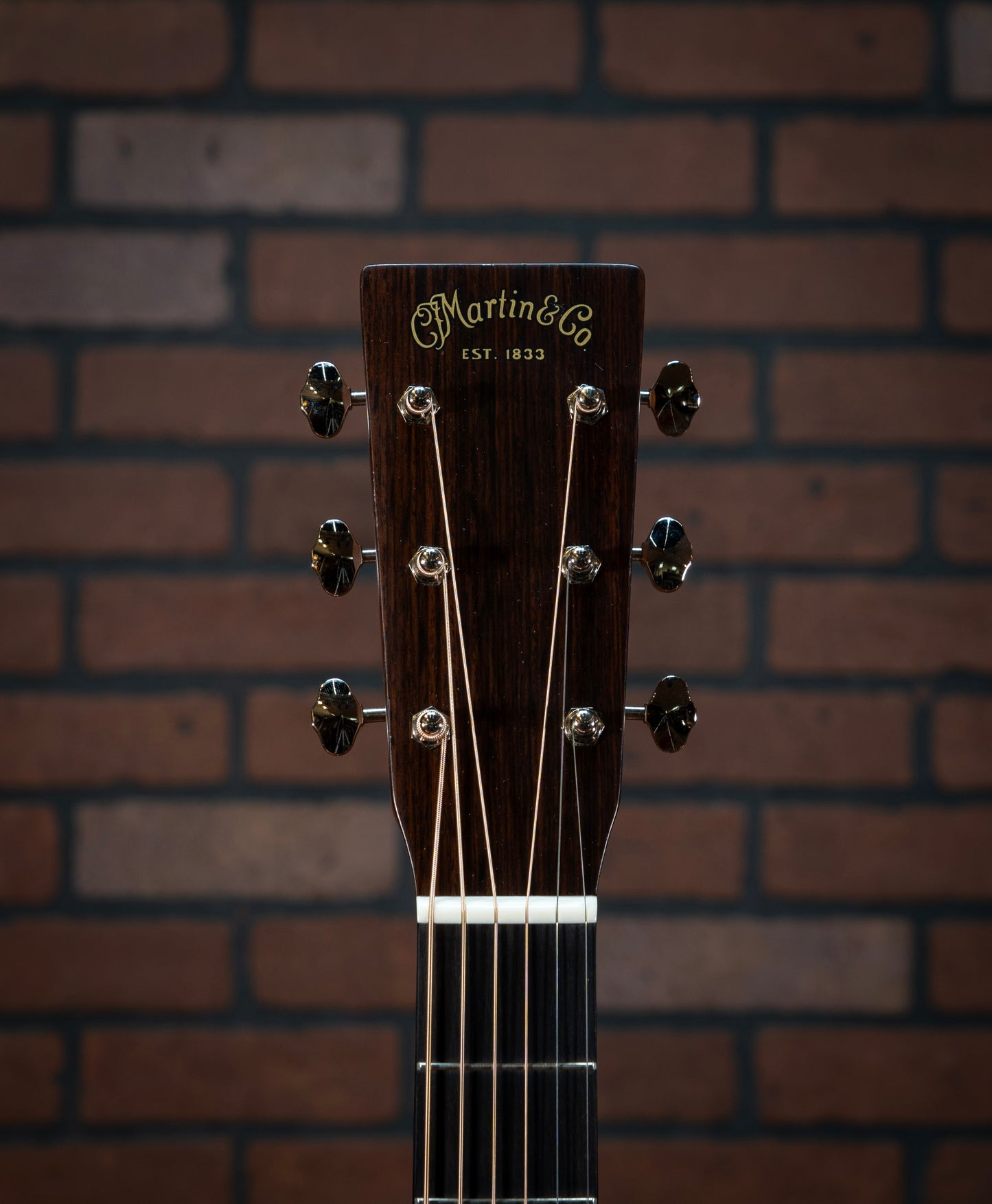 Martin D18 (Sinker Mahogany/Adirondack Spruce) (2024)