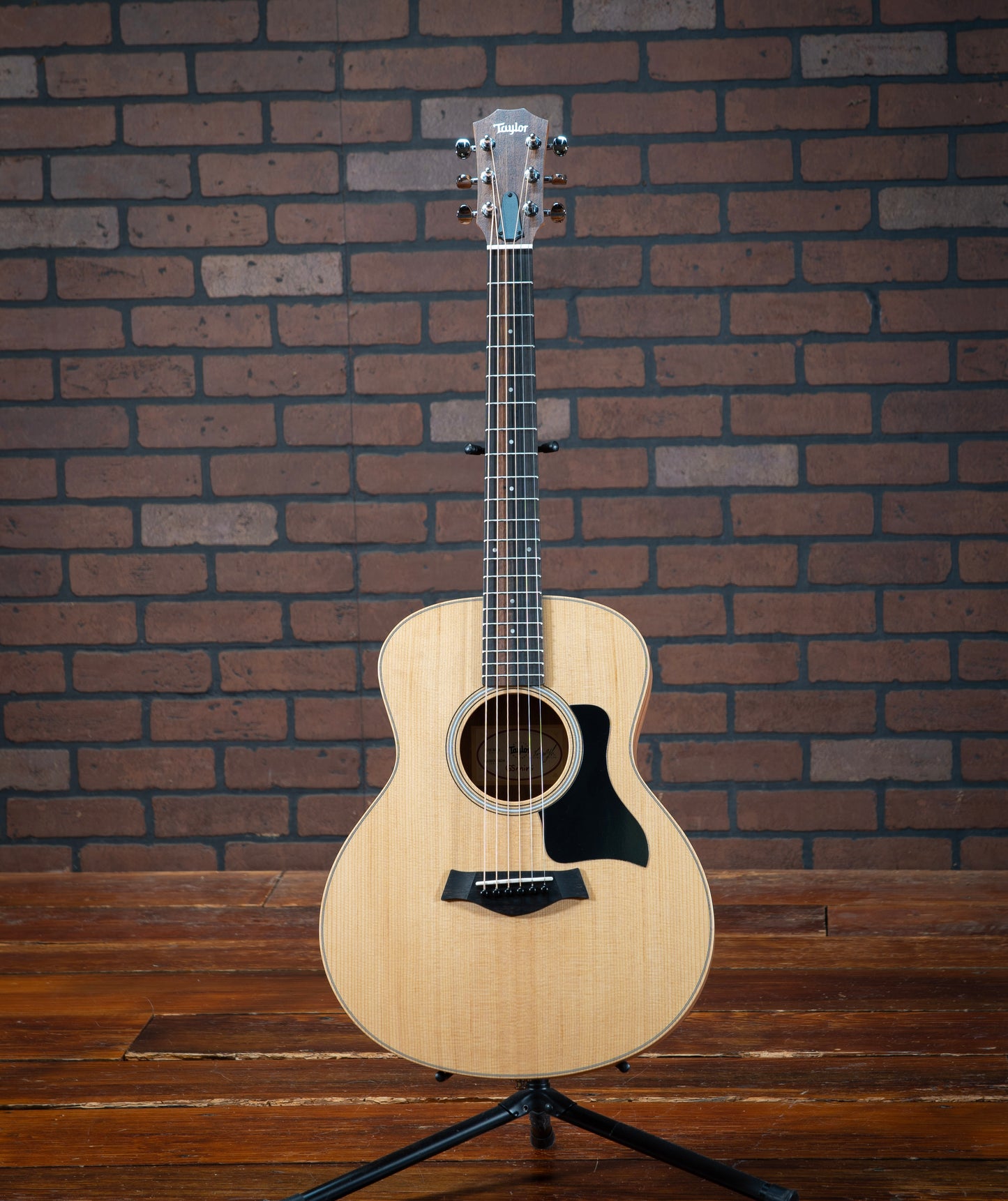 Taylor GS Mini Sapele