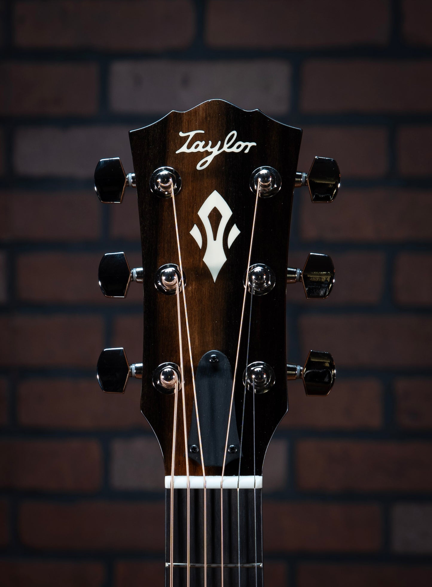 Taylor Gold Label 517e