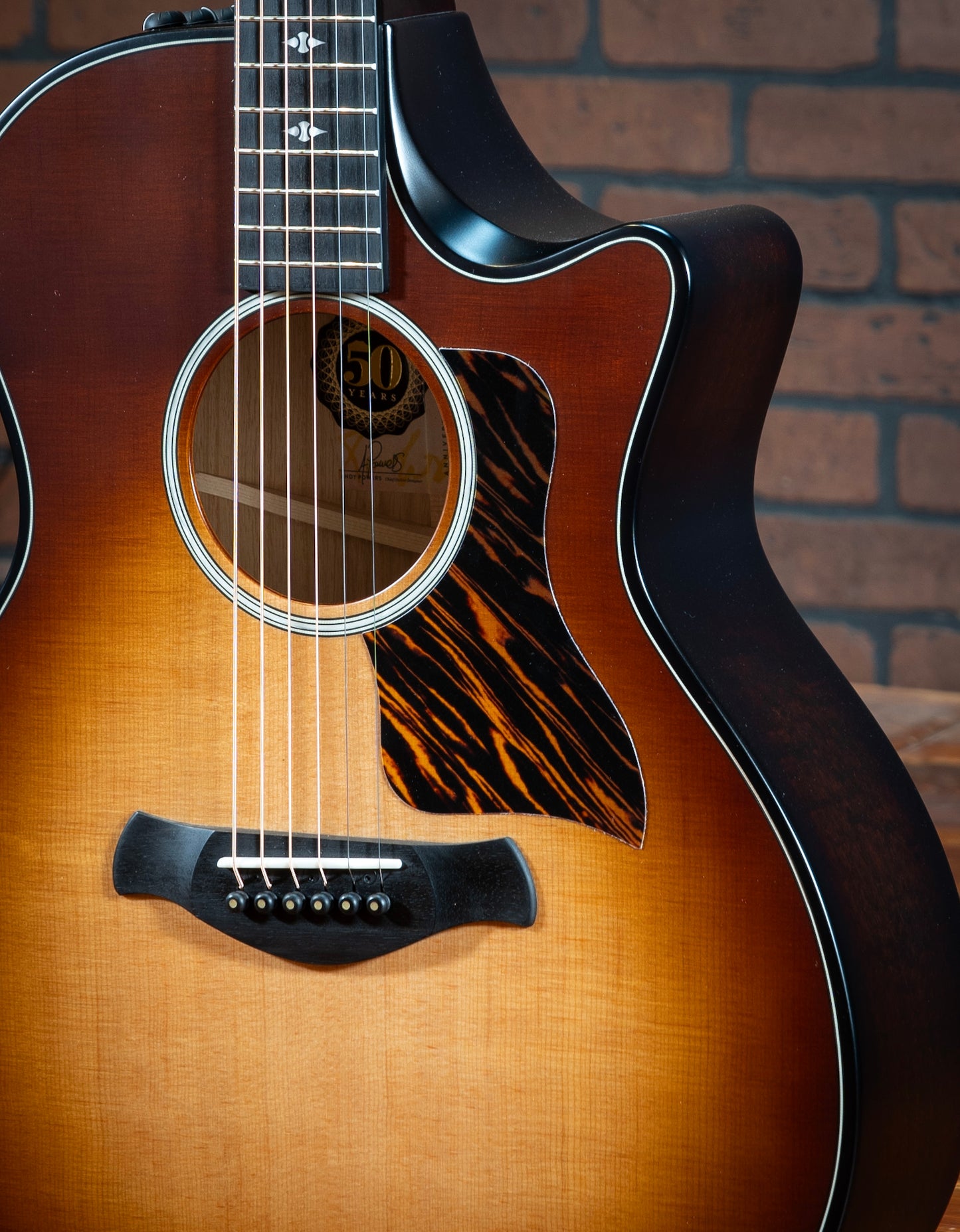Taylor 50th Anniversary Builders Edition 314ce LTD-SB