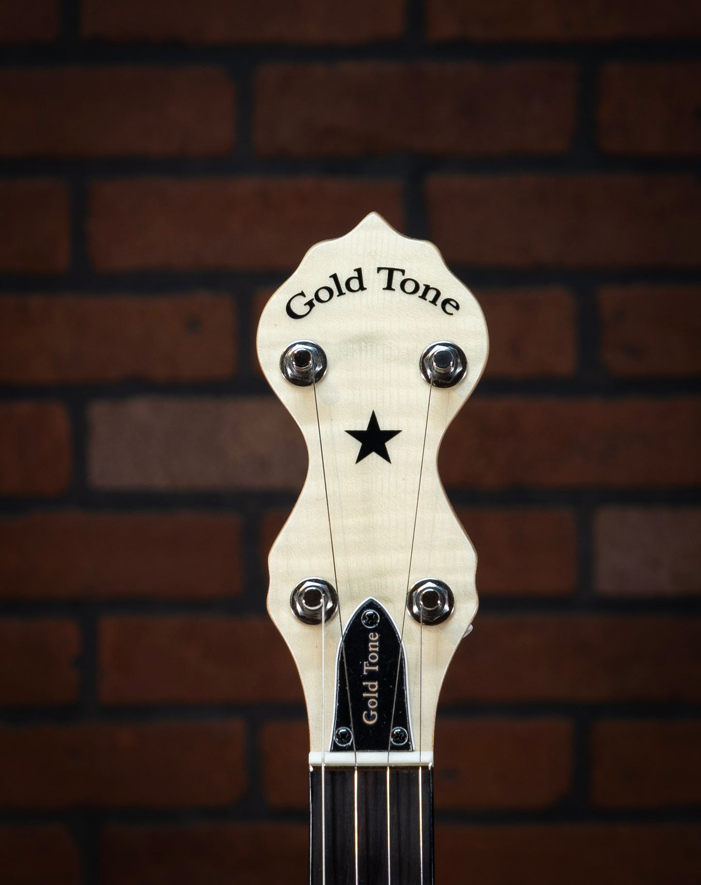 Gold Tone I CC Carlin 12