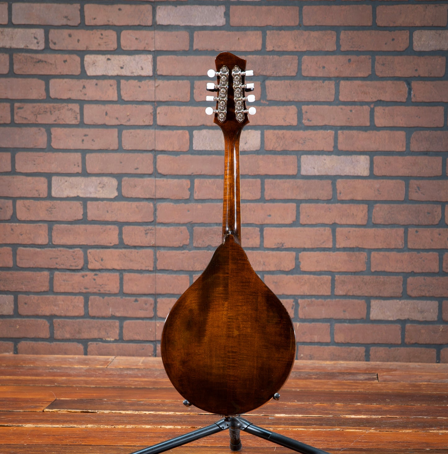 Eastman MD505