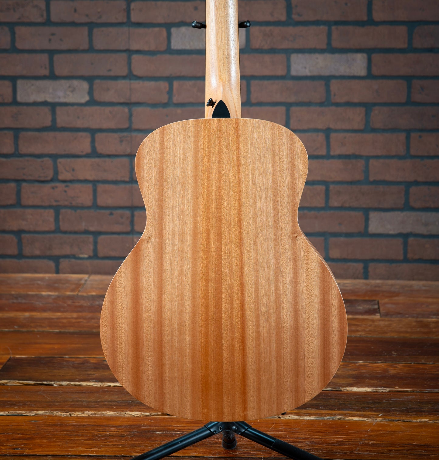 Taylor GS Mini Sapele