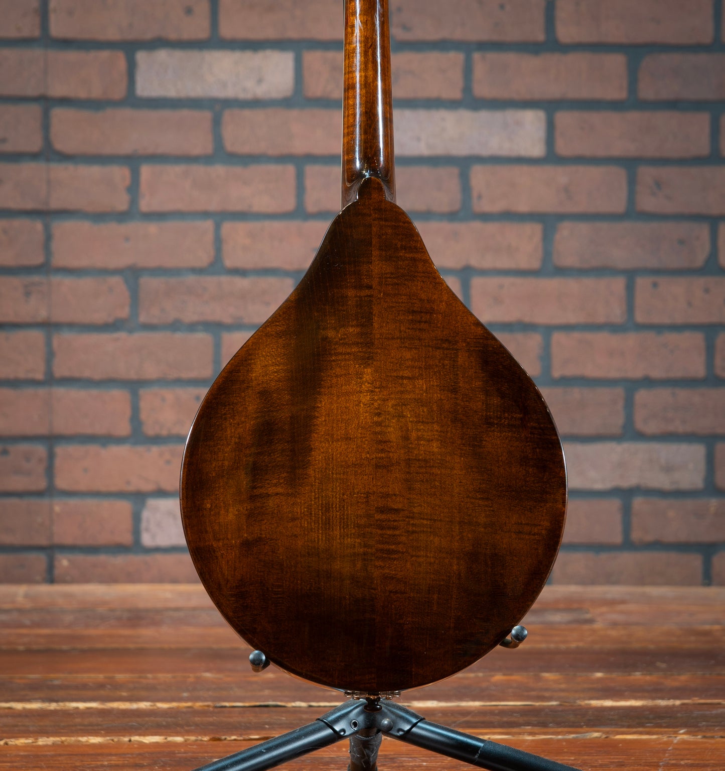 Eastman MD505