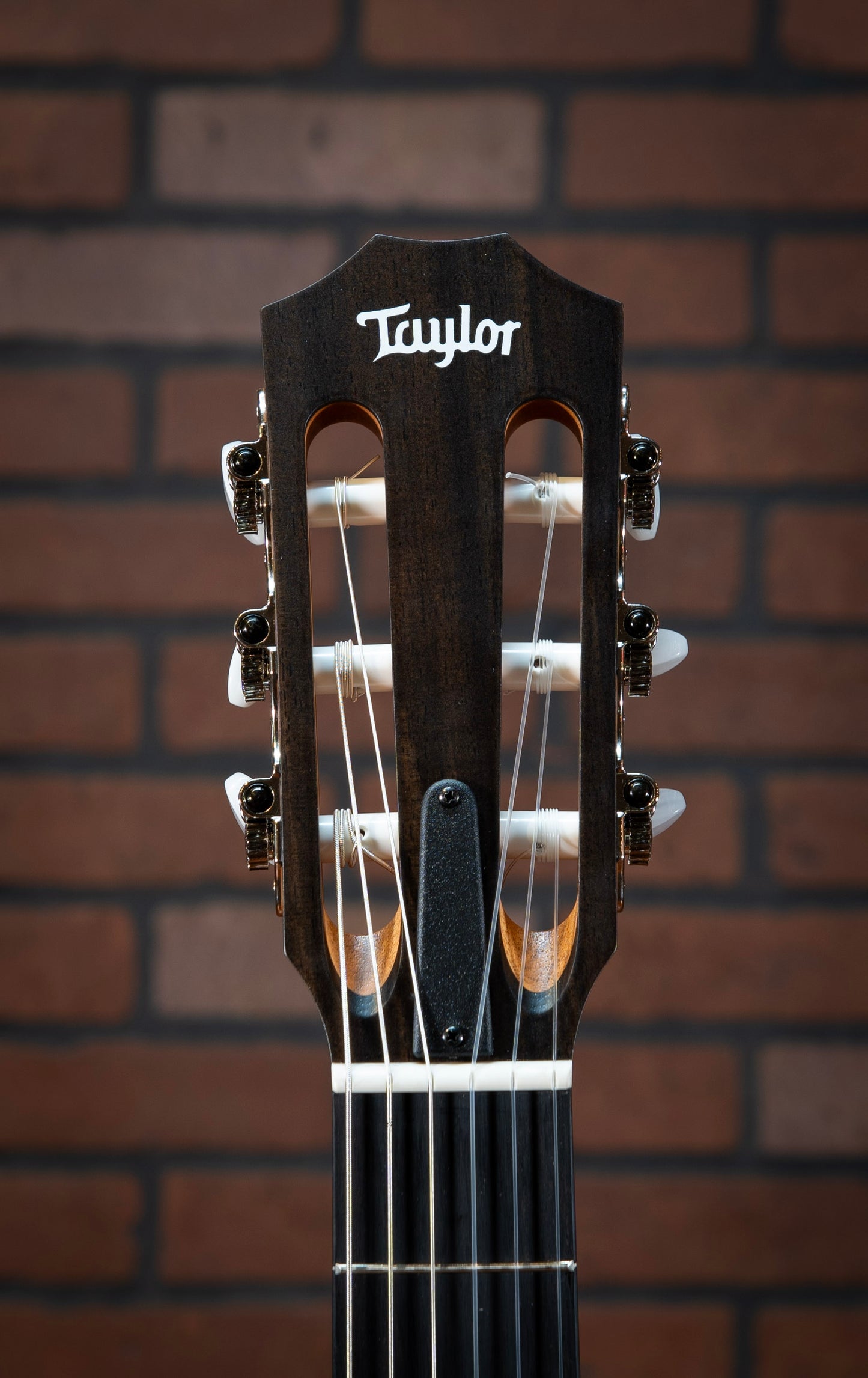 Taylor 214ce-N