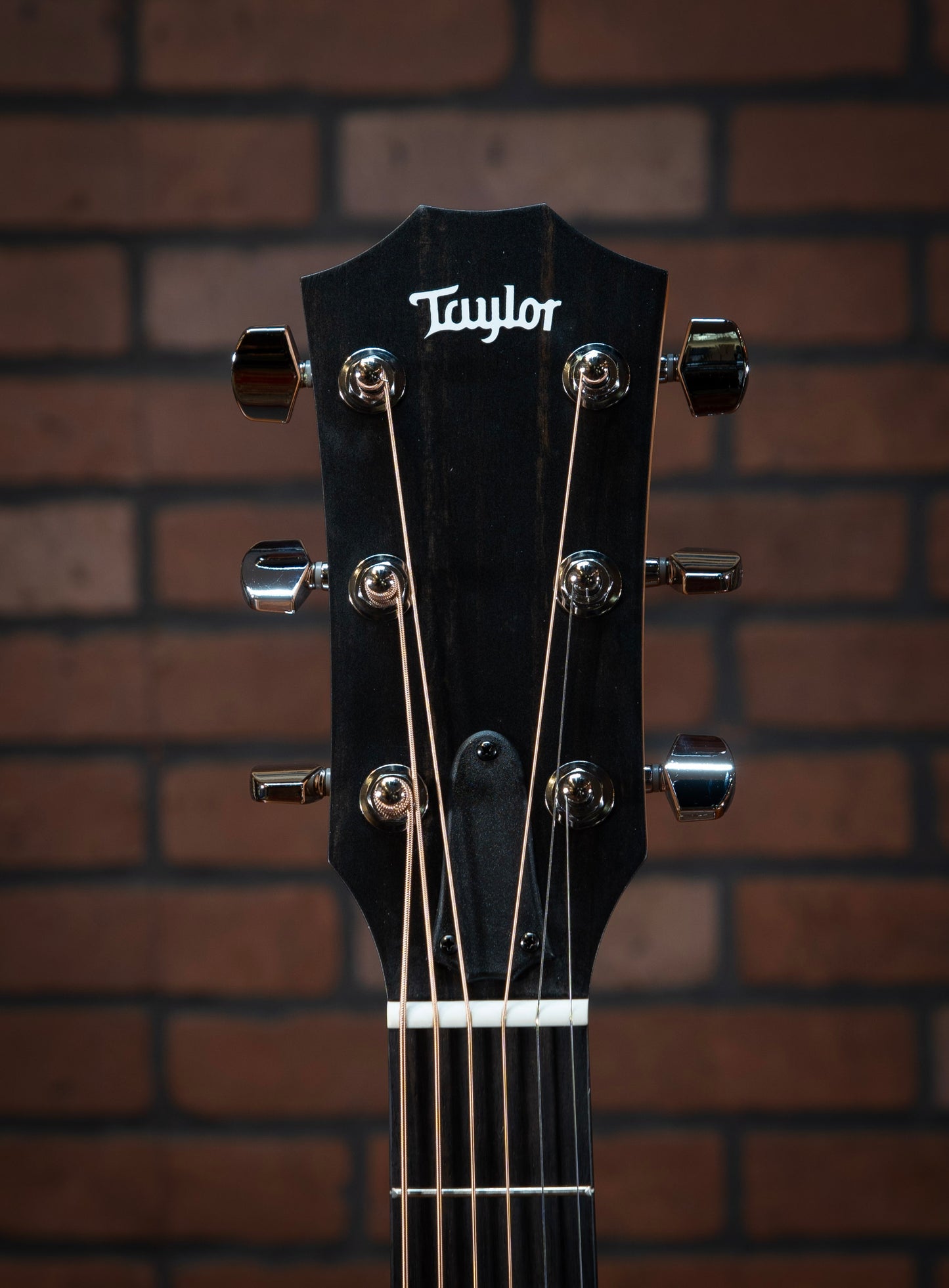 Taylor 210ce