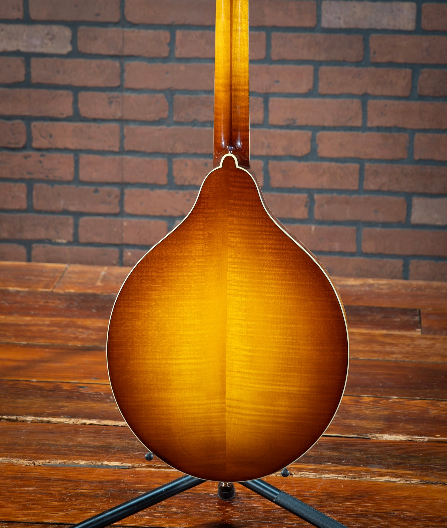 Eastman MDO605-GB