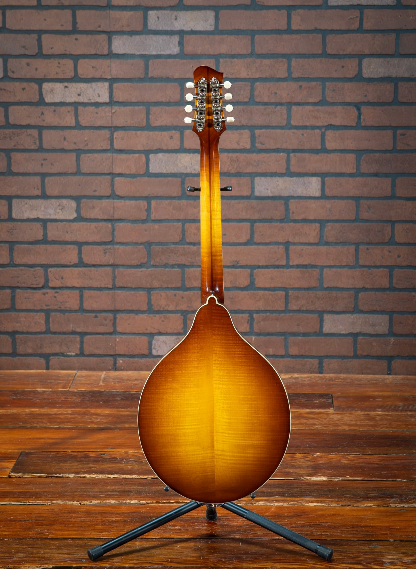 Eastman MDO605-GB