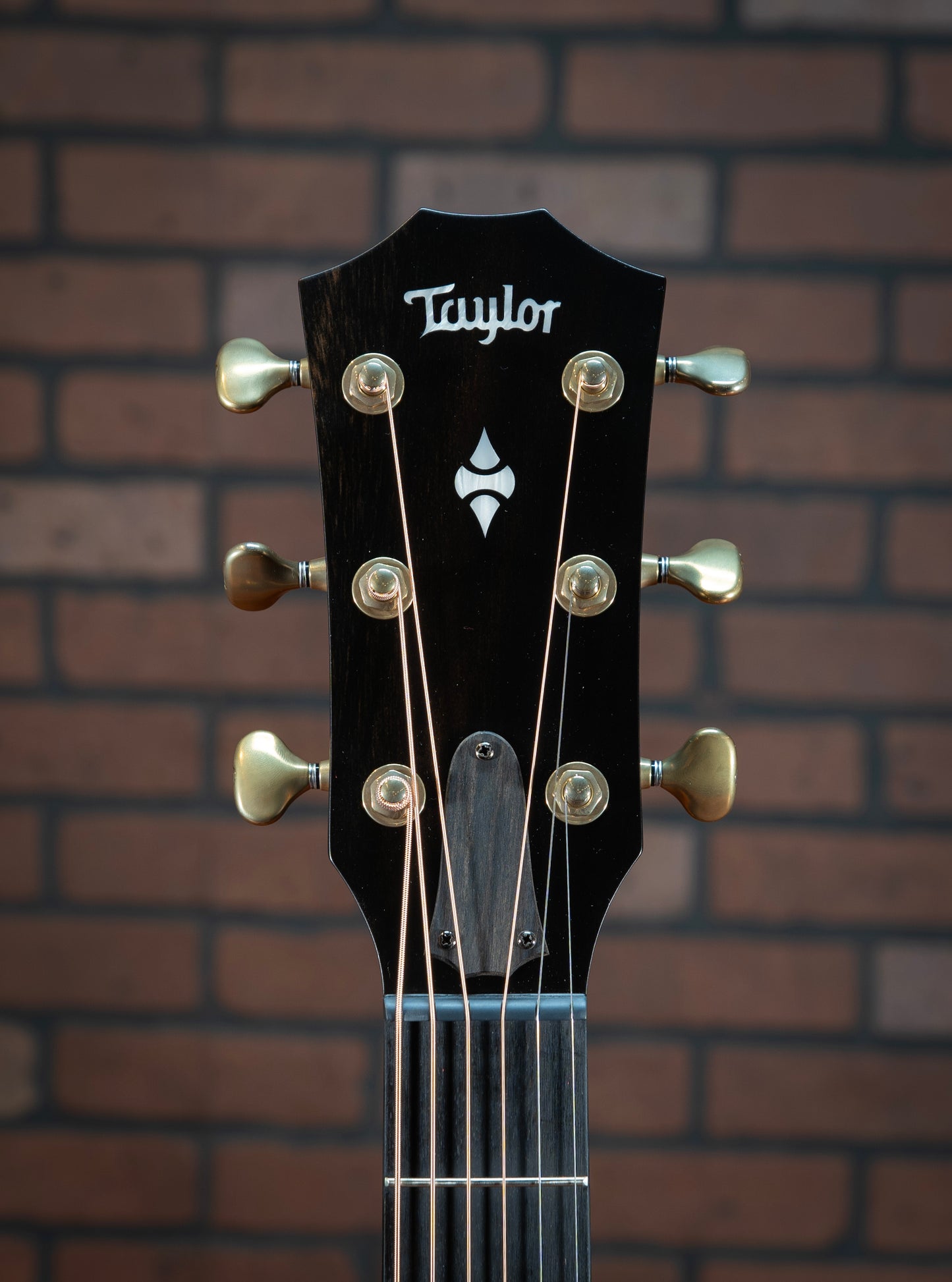 Taylor 50th Anniversary Builders Edition 314ce LTD-SB