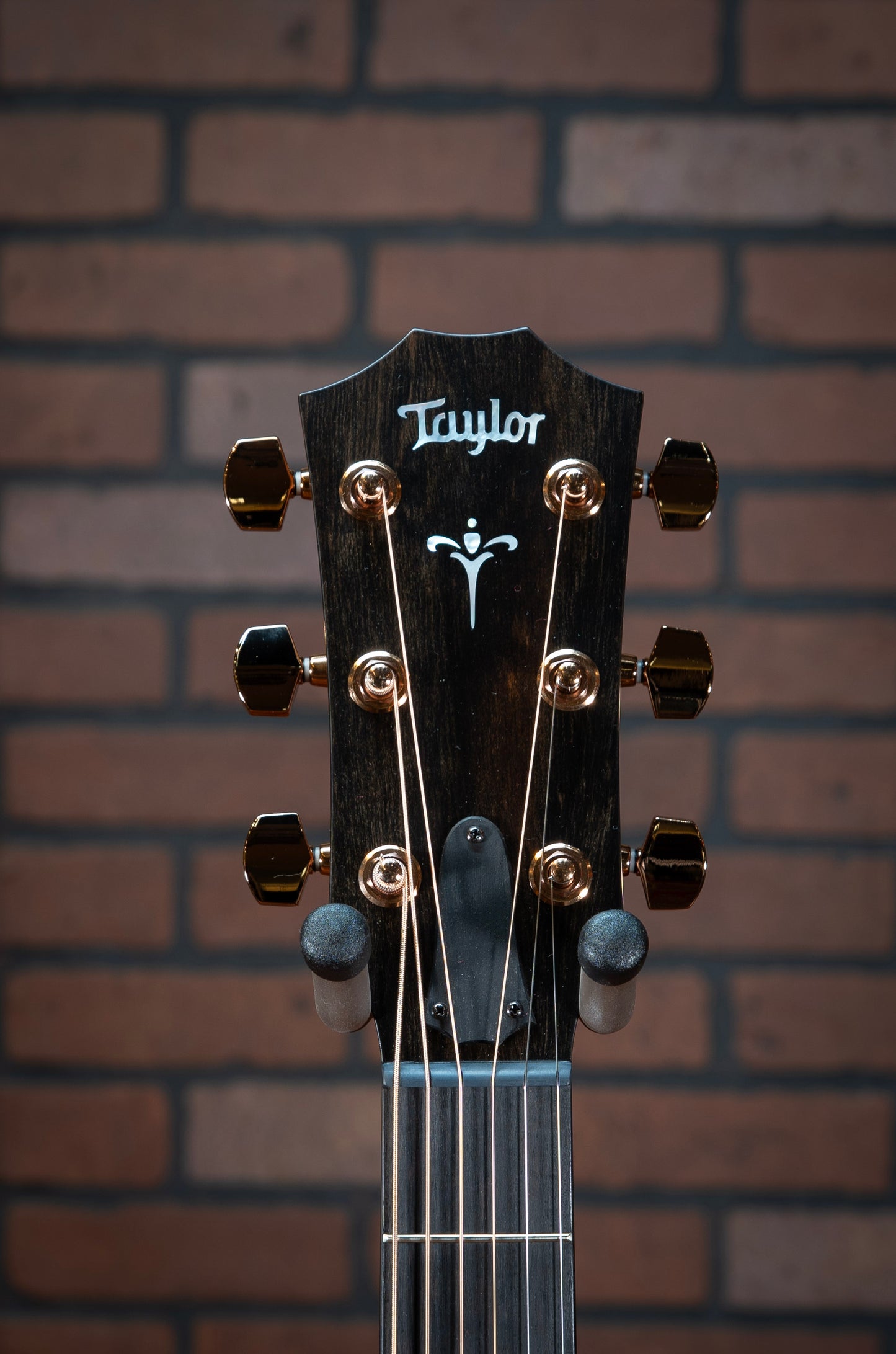 Taylor 724ce