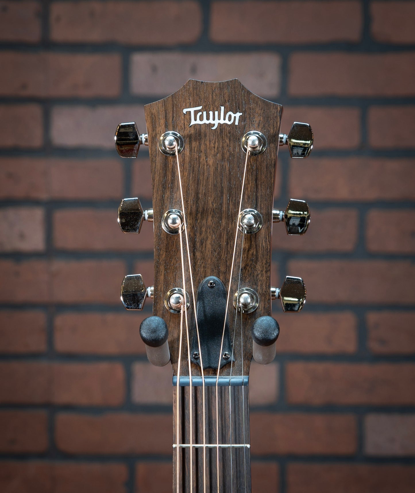 Taylor AD24ce