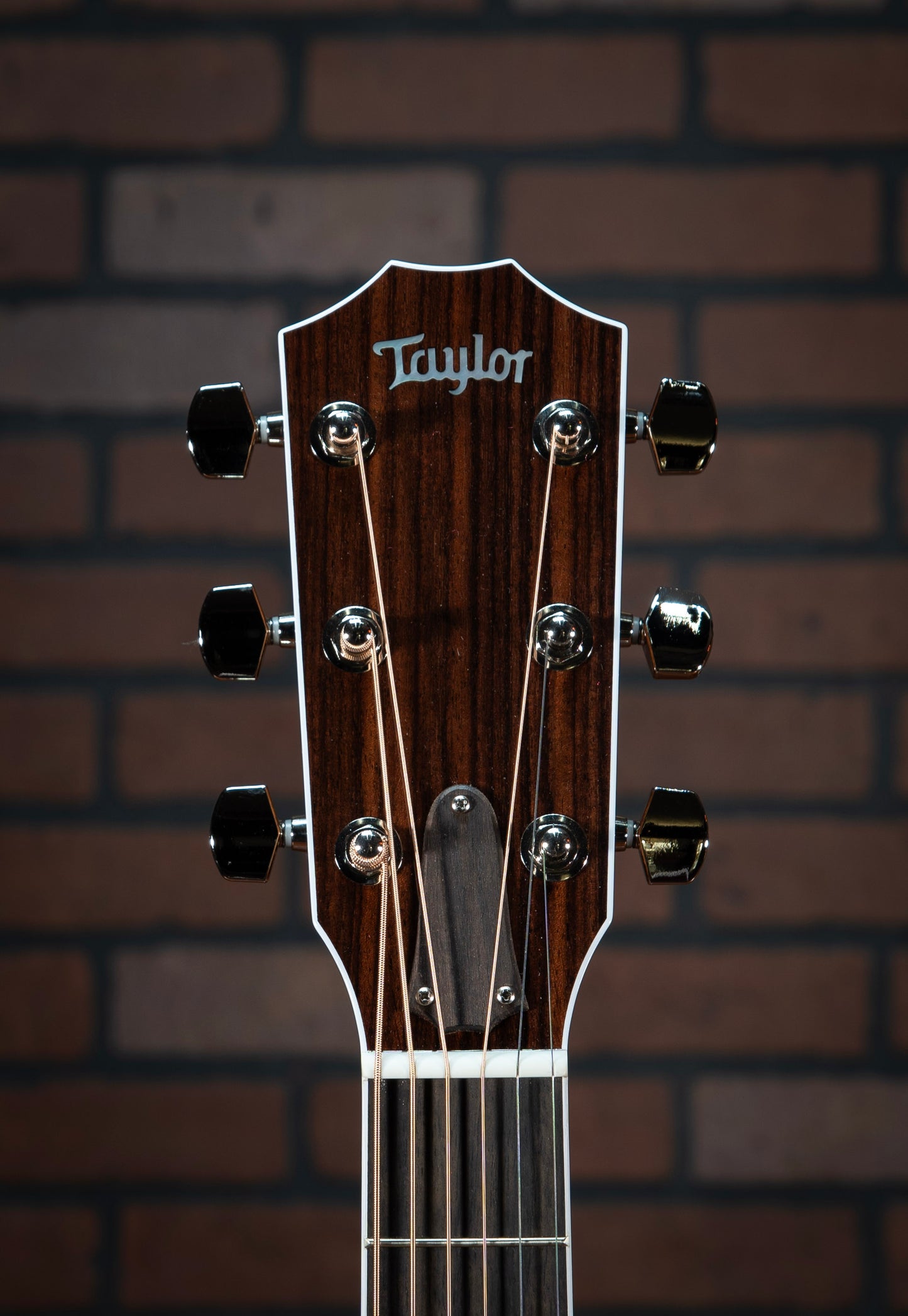 Taylor Legacy 810e acoustic electric guitar headstock with modern Taylor neck profile, mother-of-pearl diamond fretboard inlays, and white binding