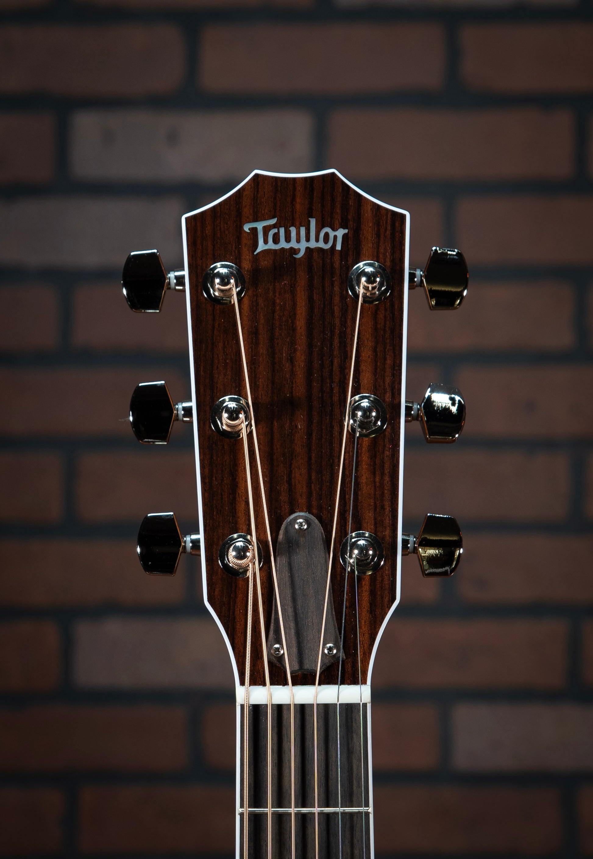 Taylor Legacy 810e acoustic electric guitar headstock with modern Taylor neck profile, mother-of-pearl diamond fretboard inlays, and white binding
